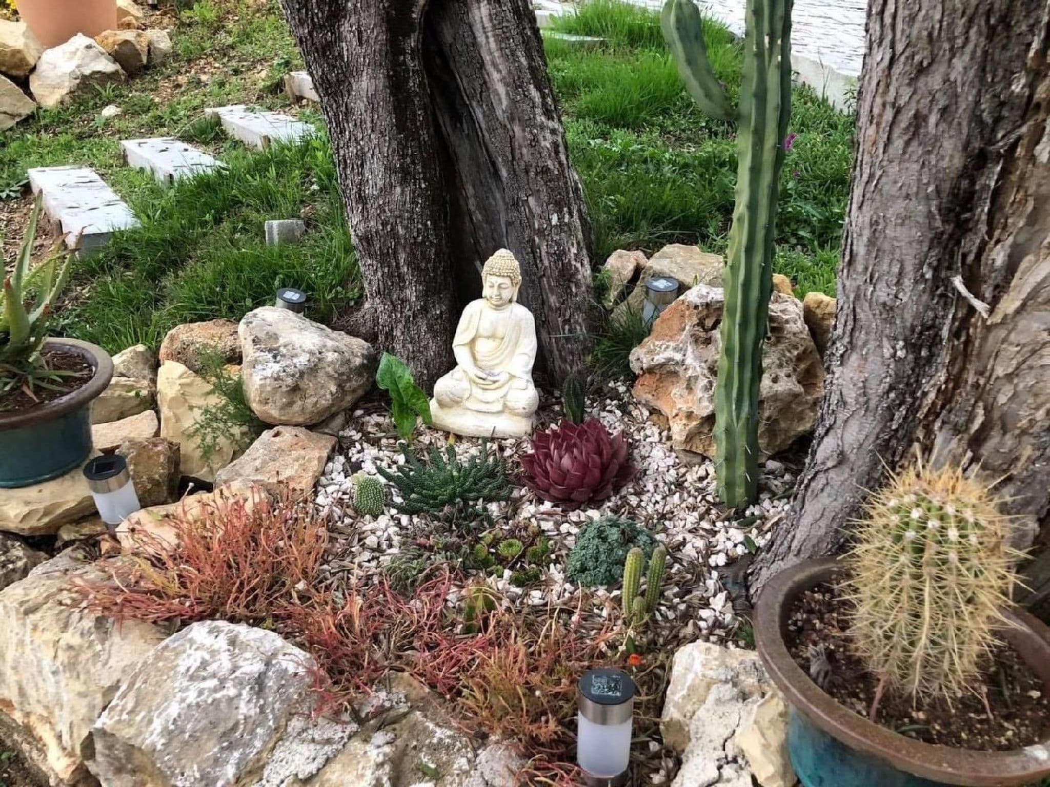 Gallery Image 32