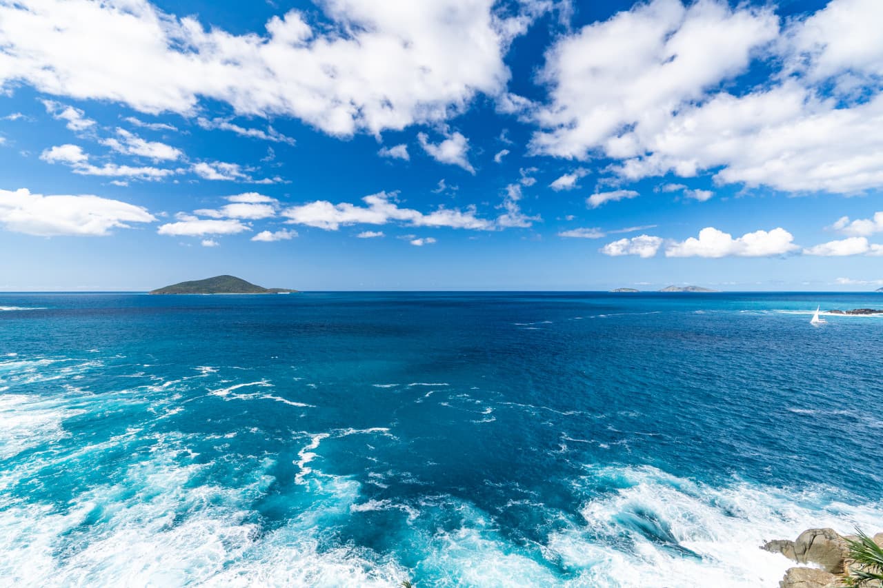 Harmony Hideaway.Dolphin_1464.jpg