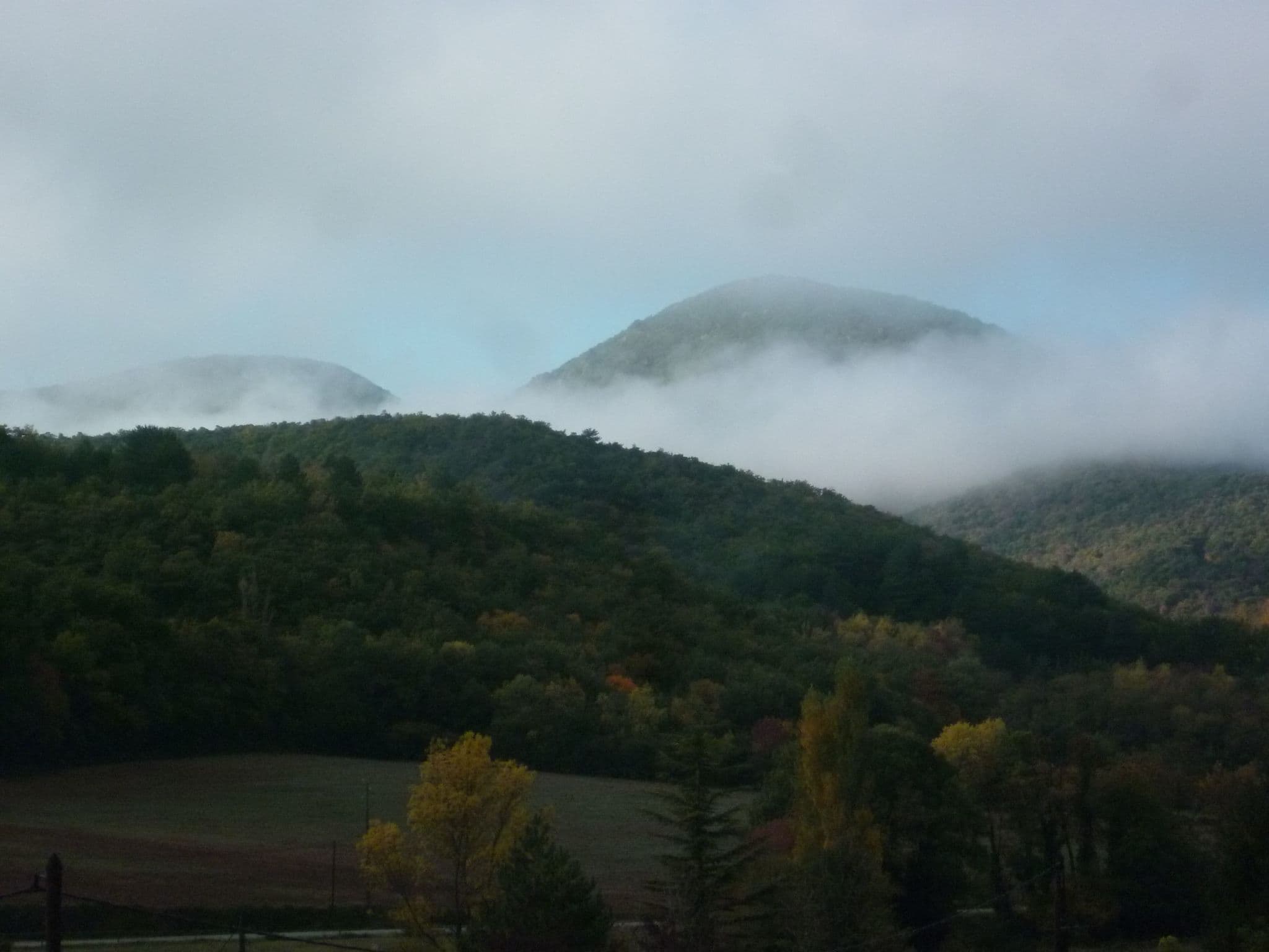 View