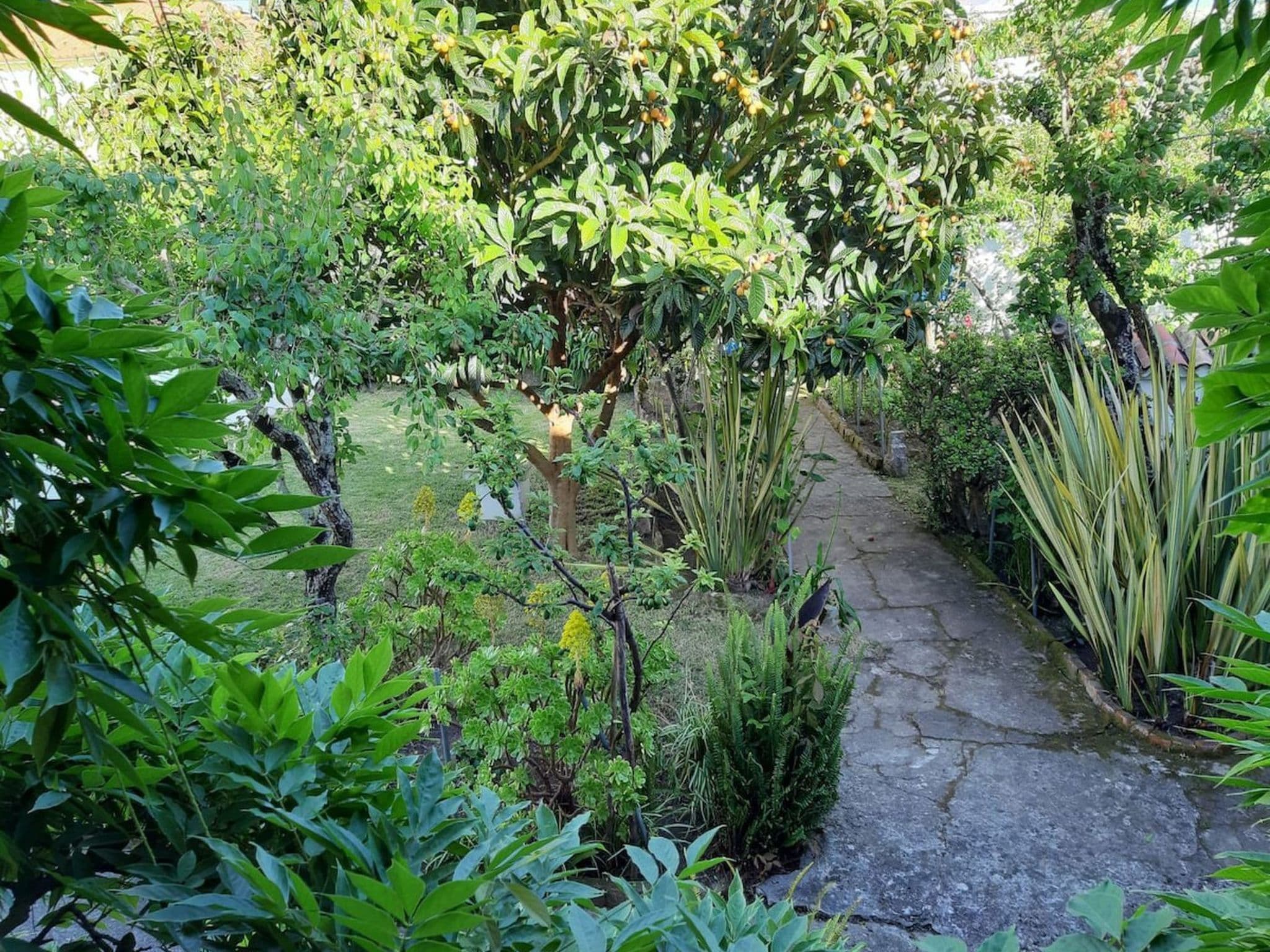 Gallery Image 31