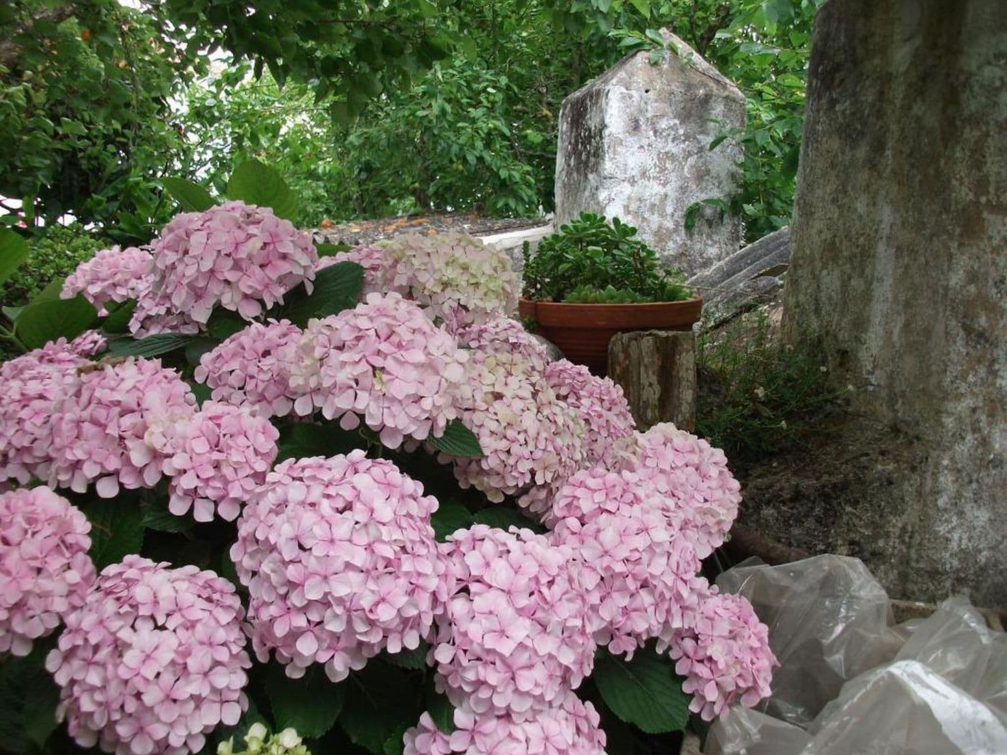 Gallery Image 34