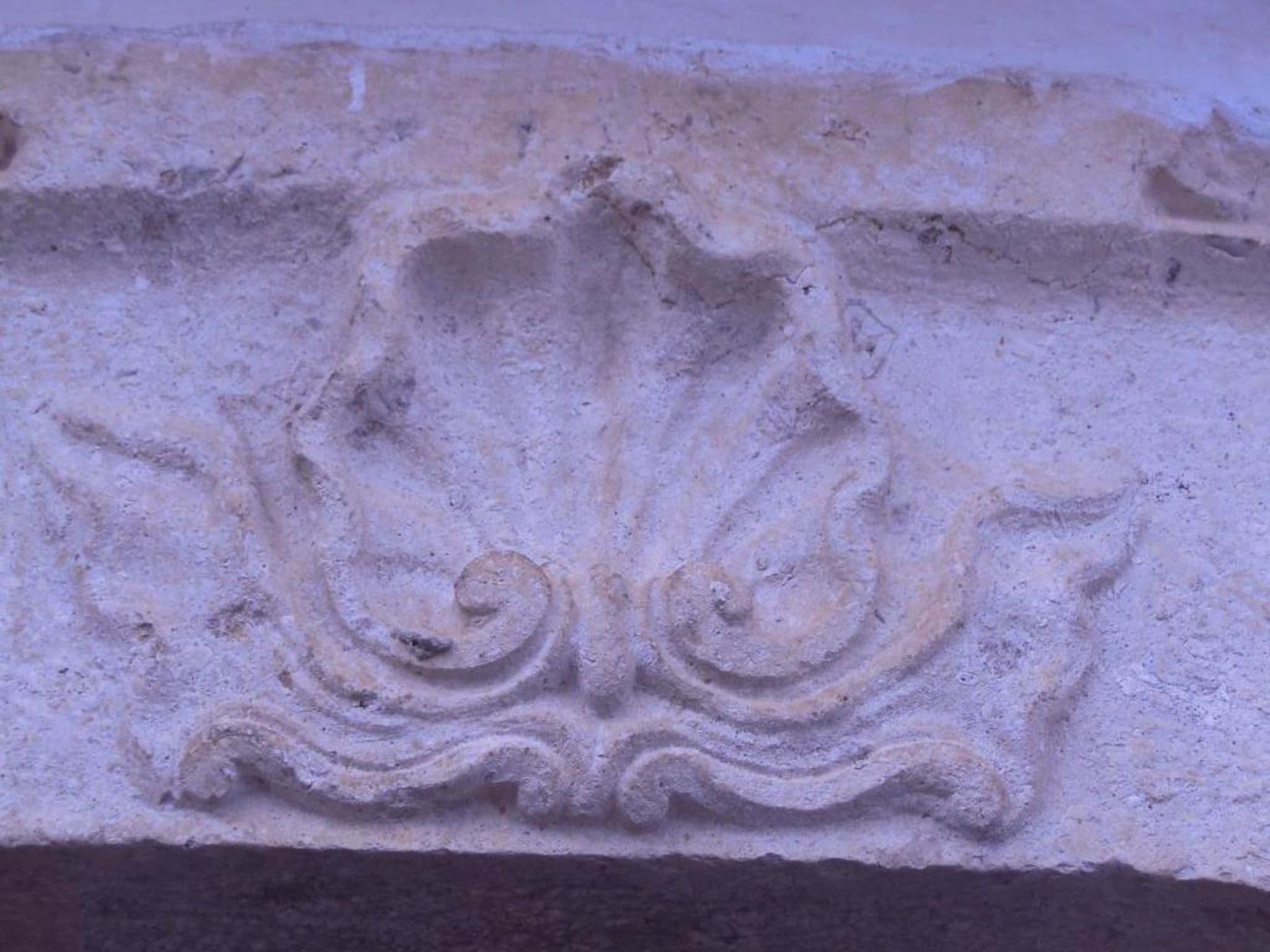 Gallery Image 35