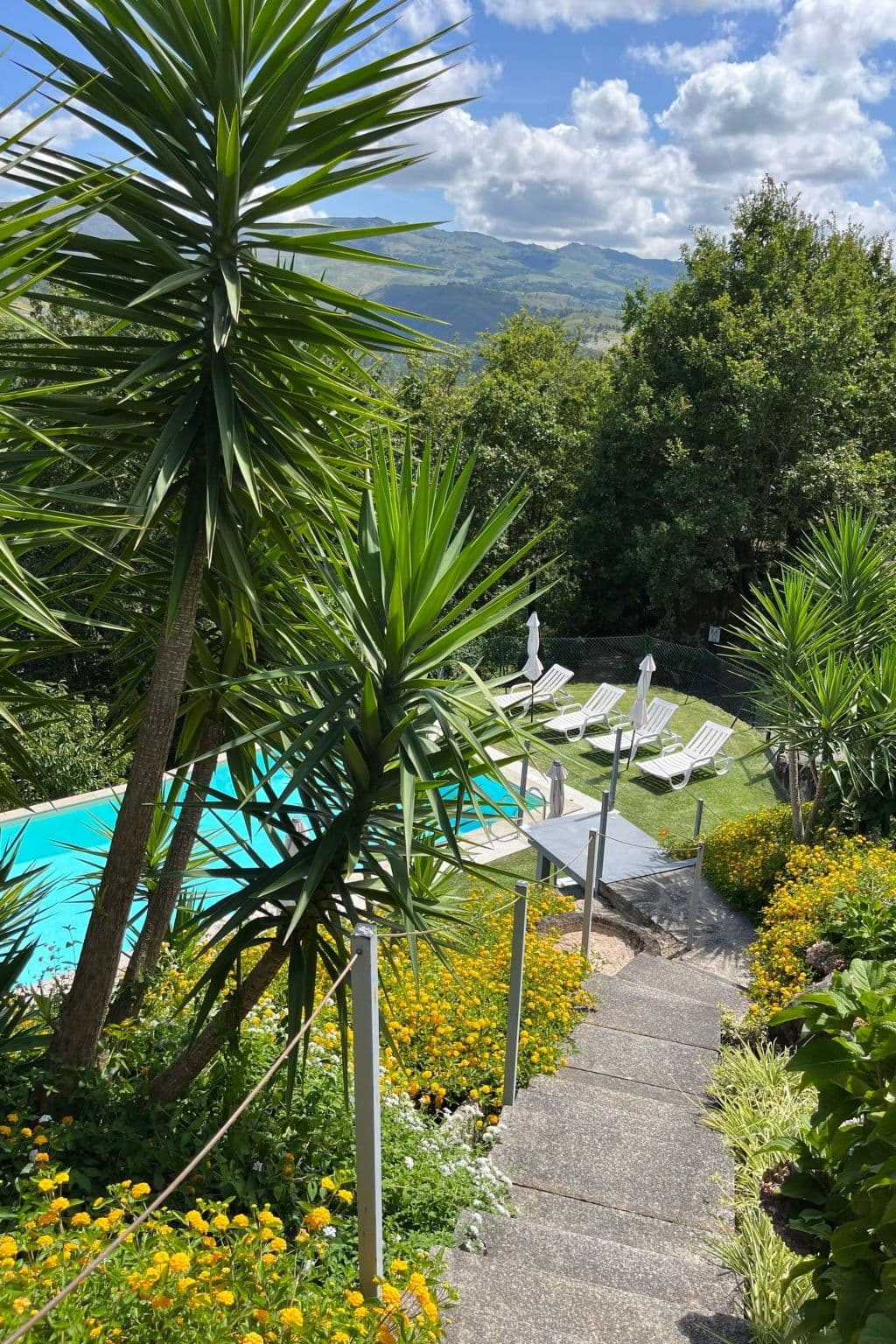 Pool Outdoor