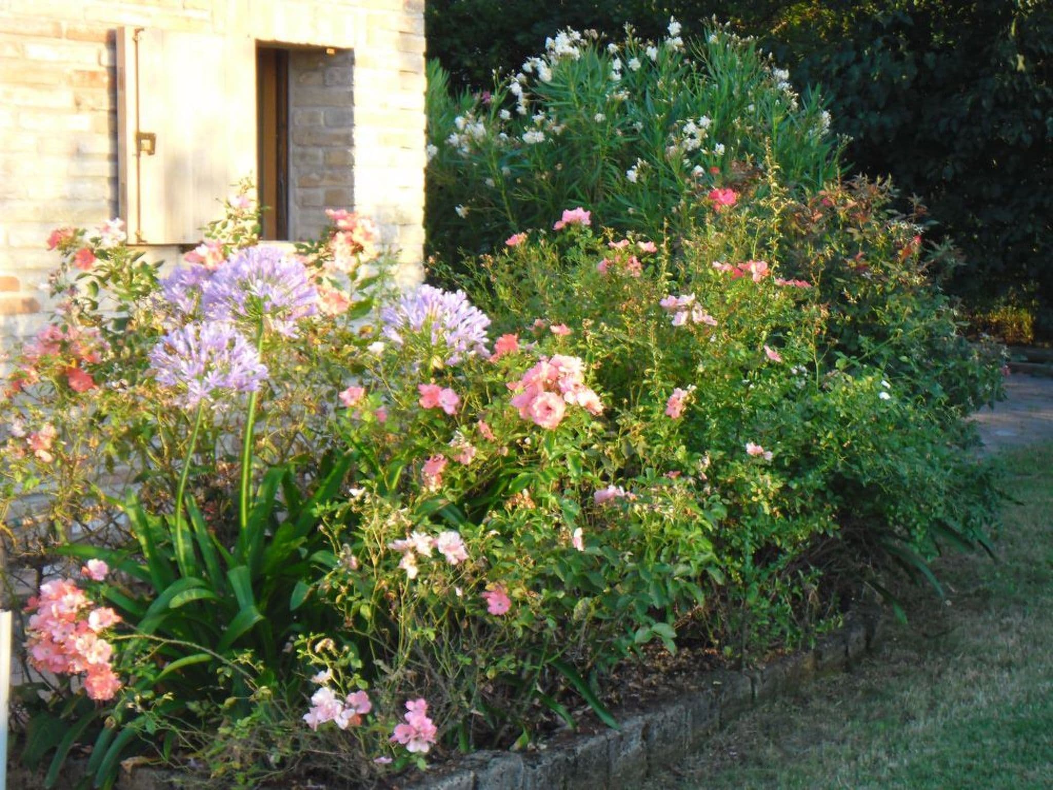 Gallery Image 38