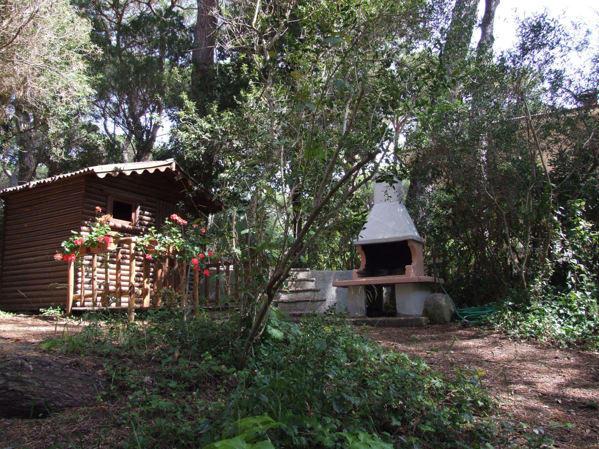 Outdoor