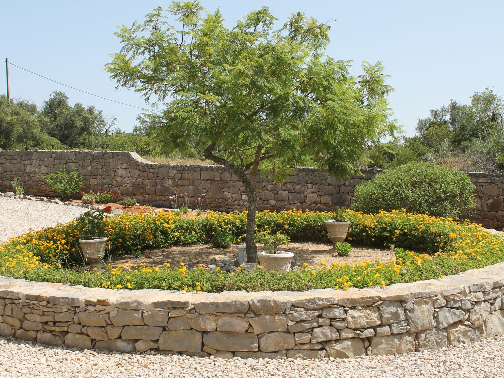 Gallery Image 27