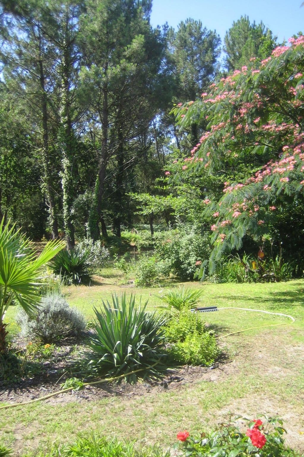 Gallery Image 8
