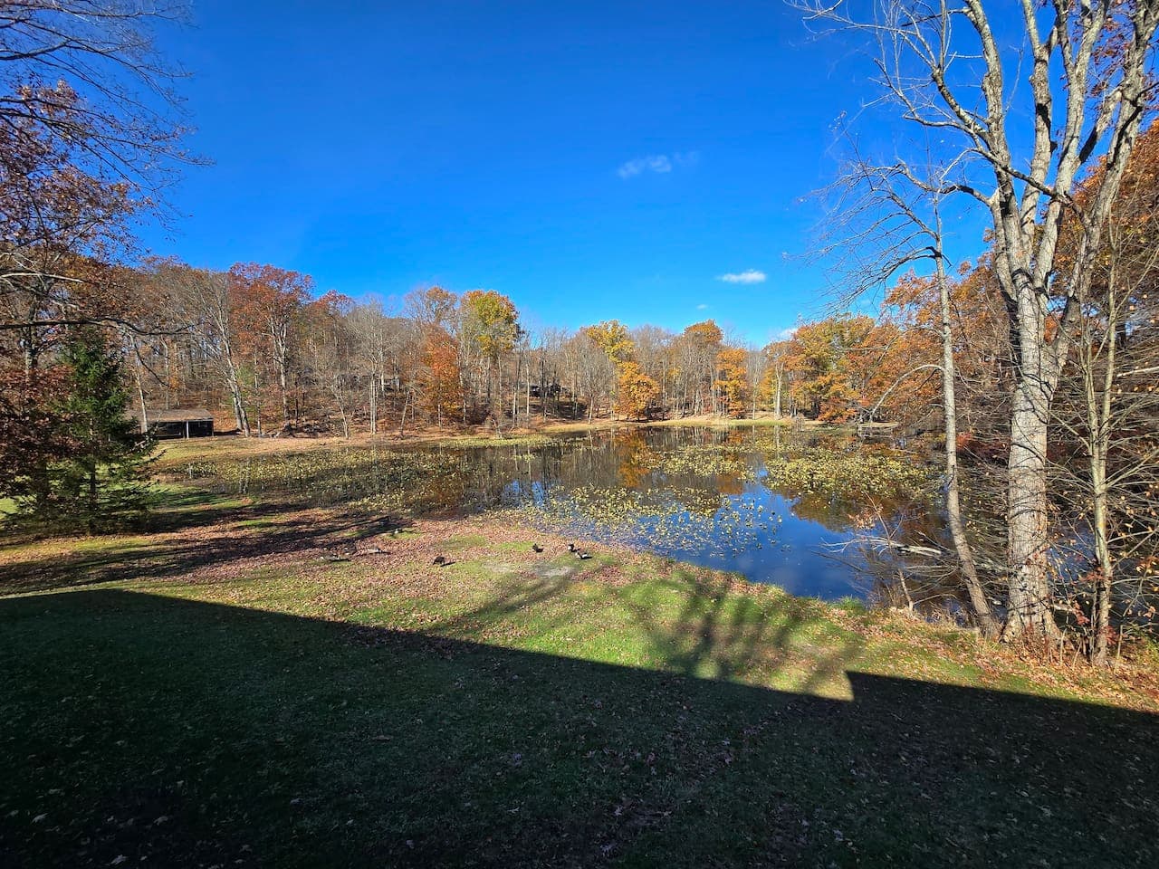 Gallery Image 18
