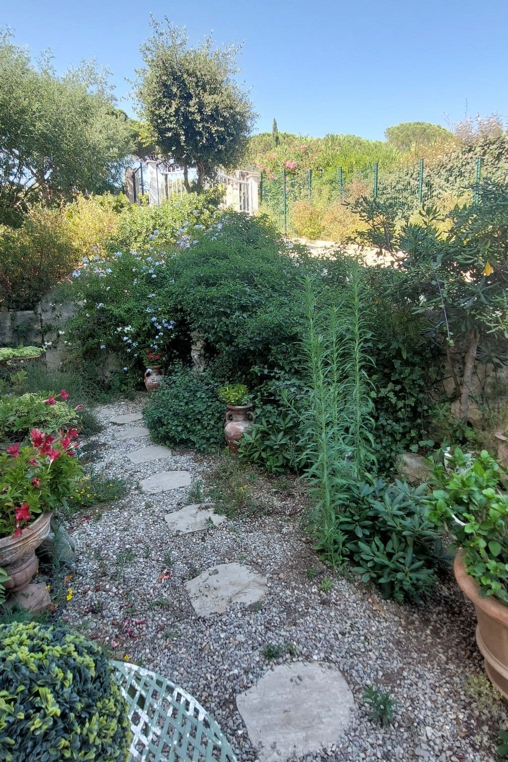 Gallery Image 10