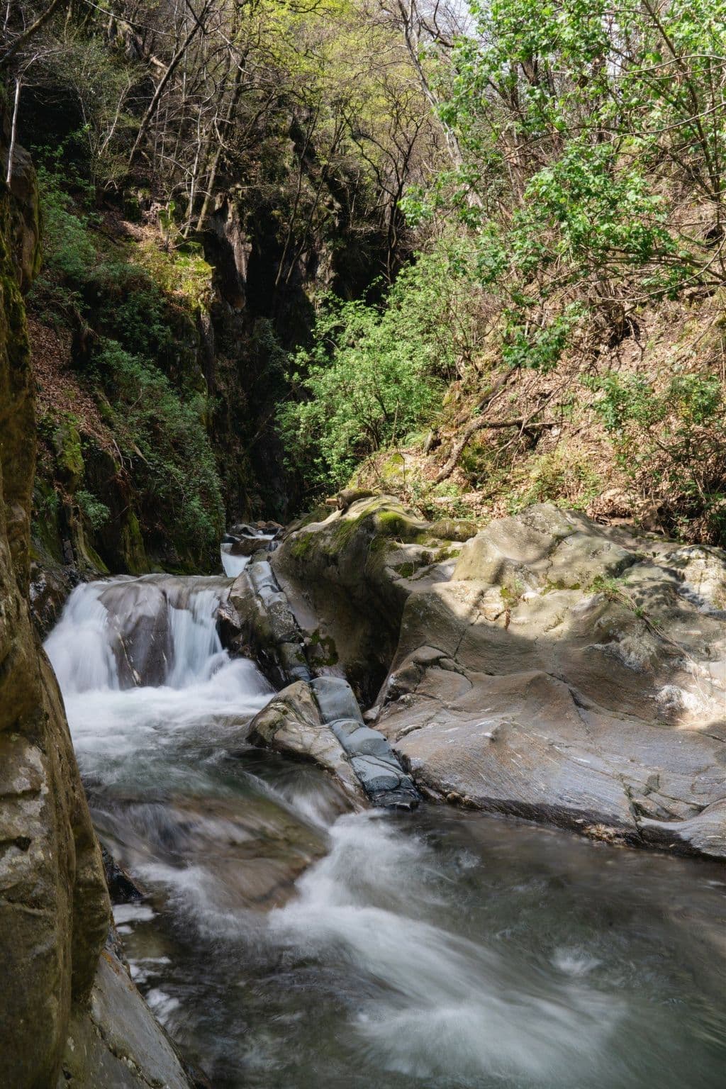 Gallery Image 13