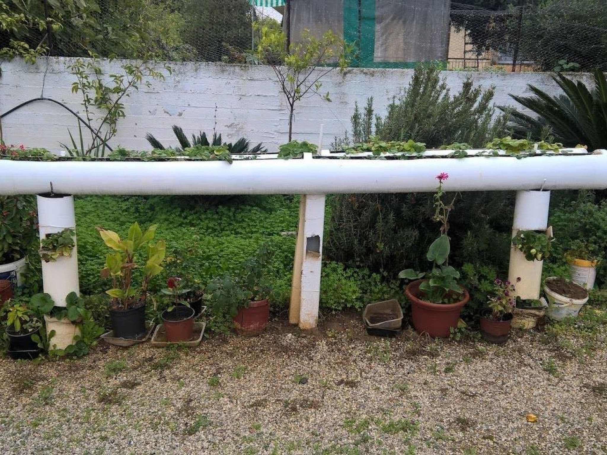 Gallery Image 11