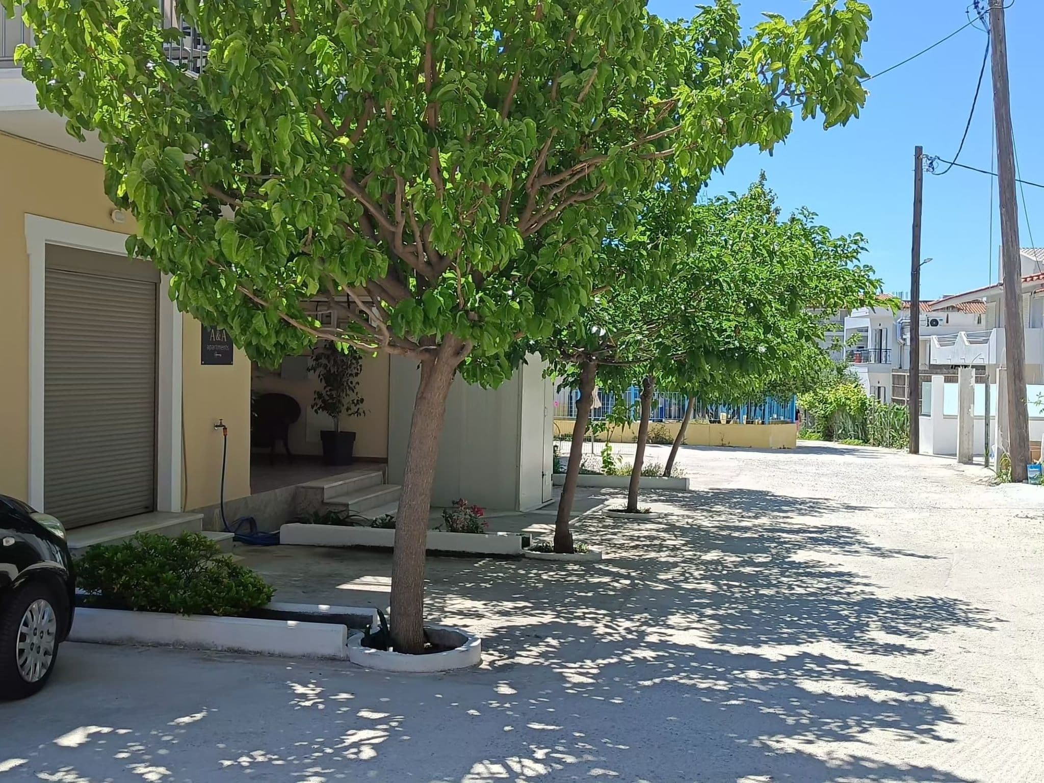 Gallery Image 20