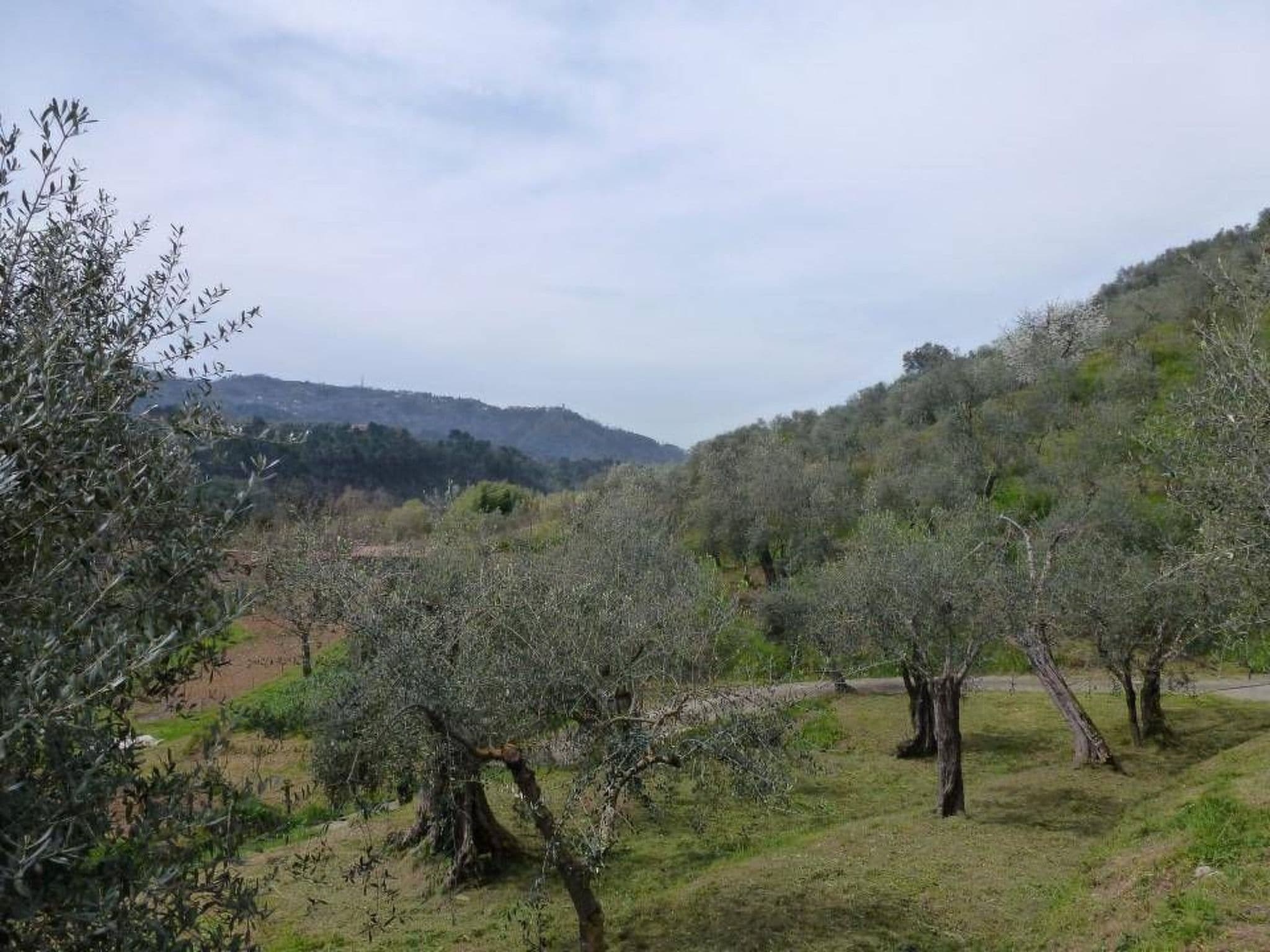Gallery Image 14
