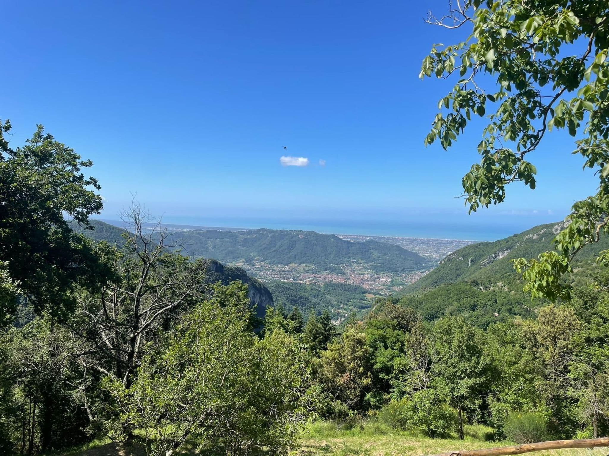 View