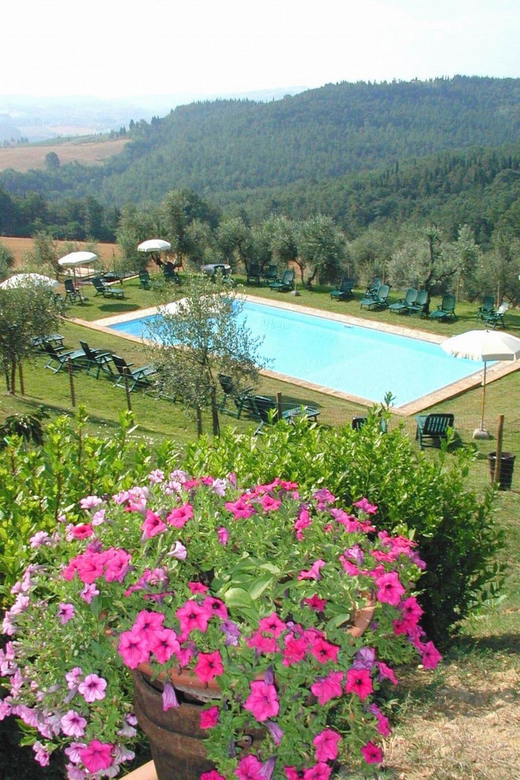 Pool Outdoor