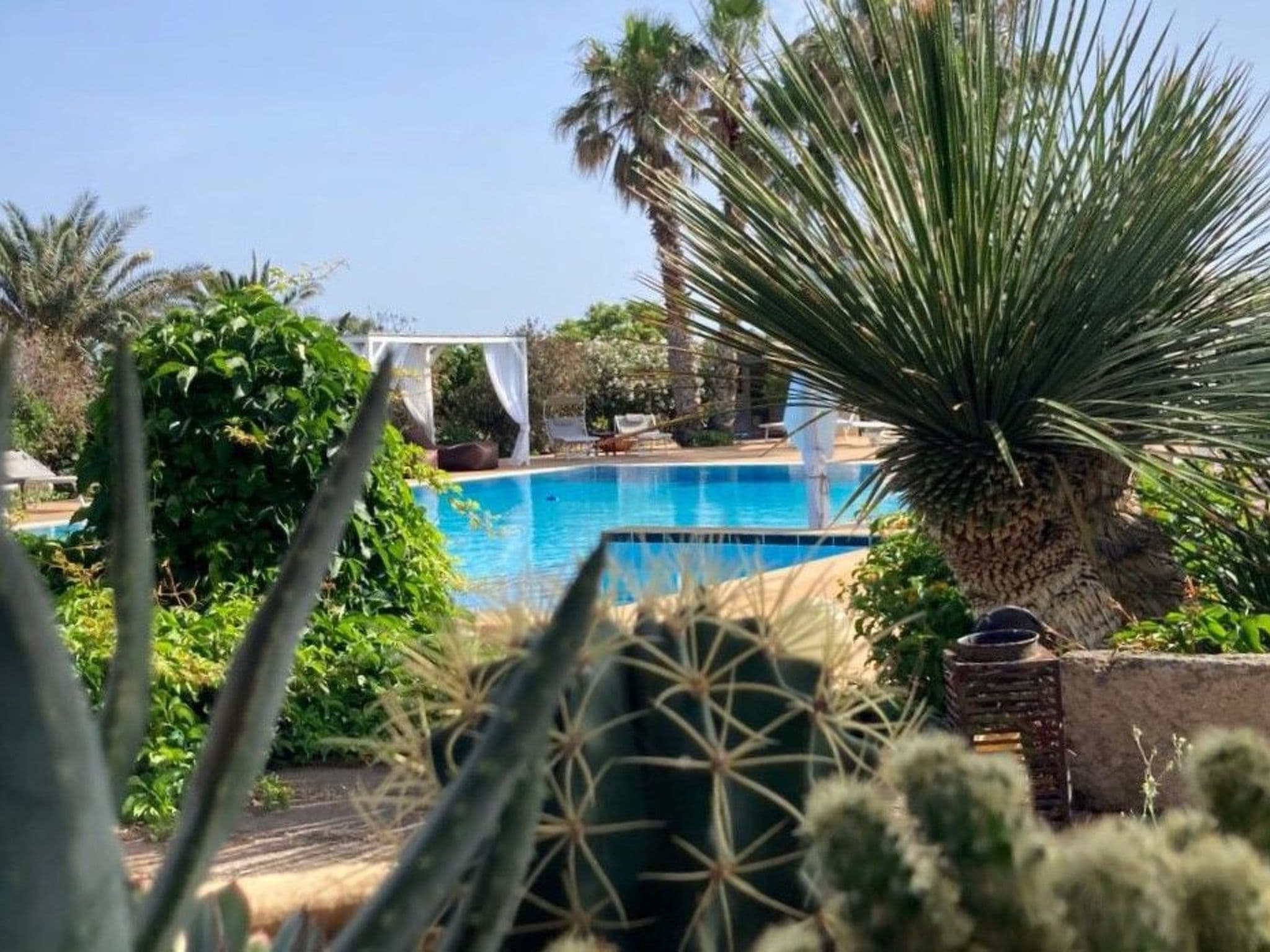 Pool Outdoor