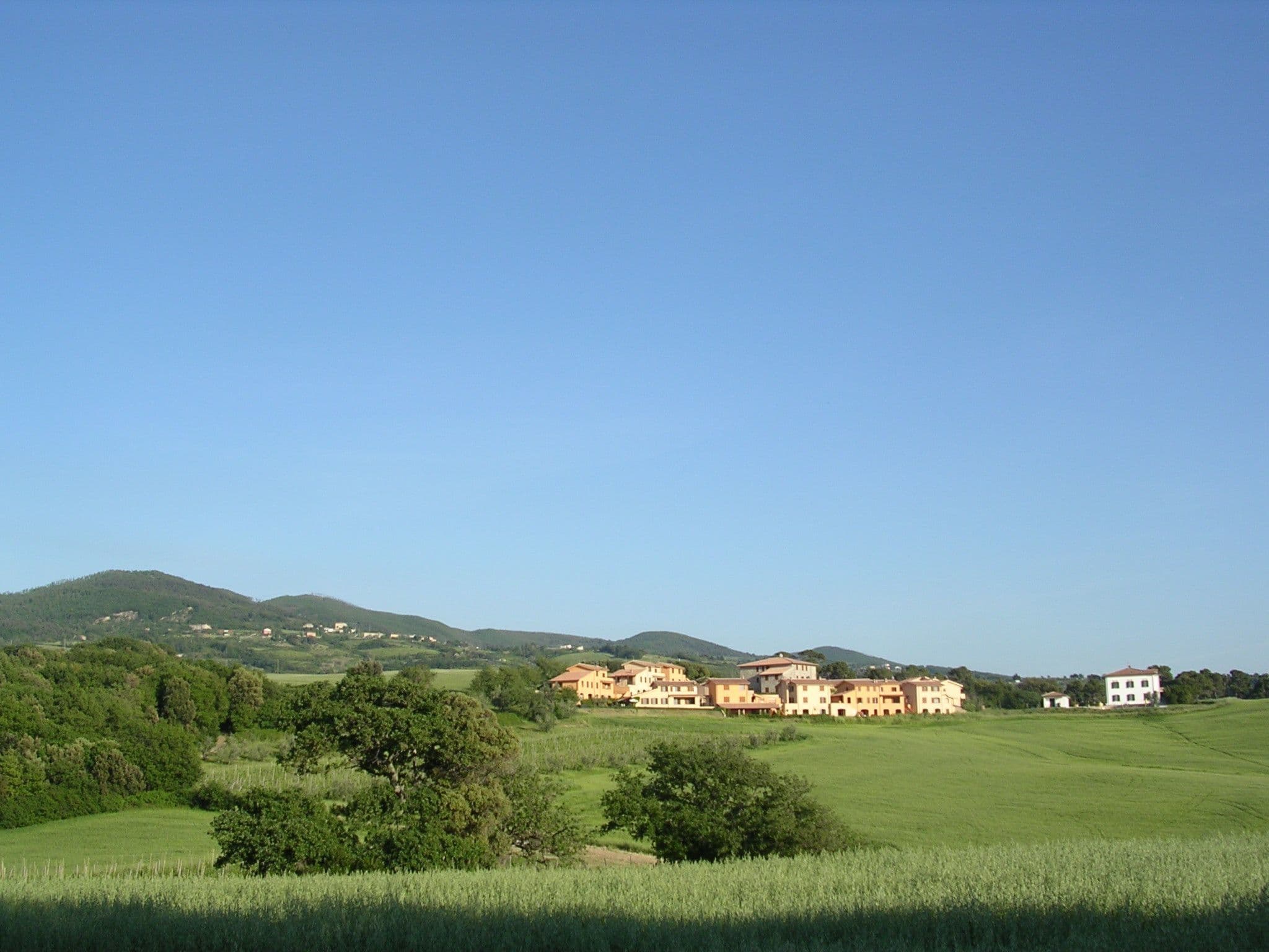 Gallery Image 20