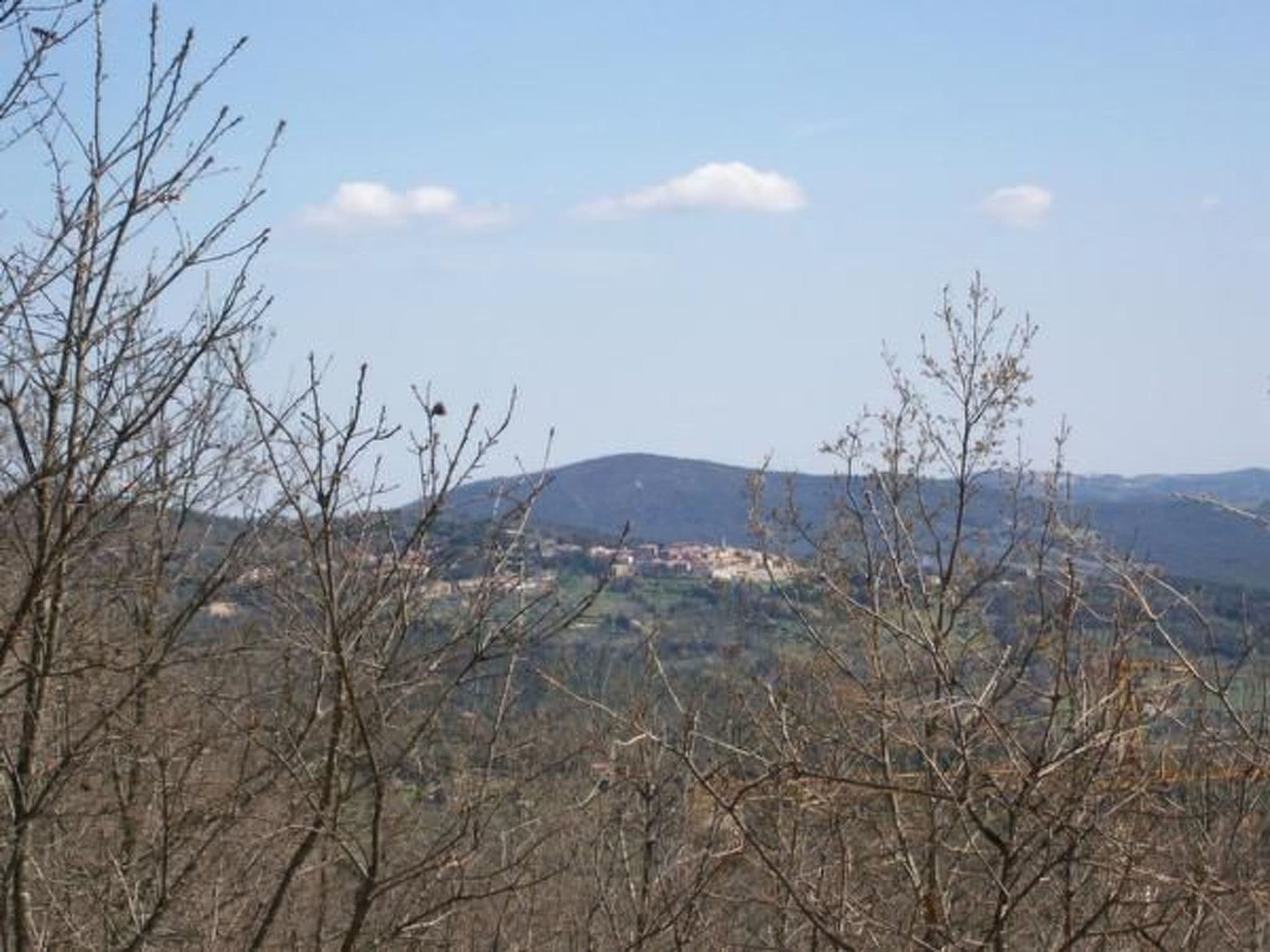 Gallery Image 18