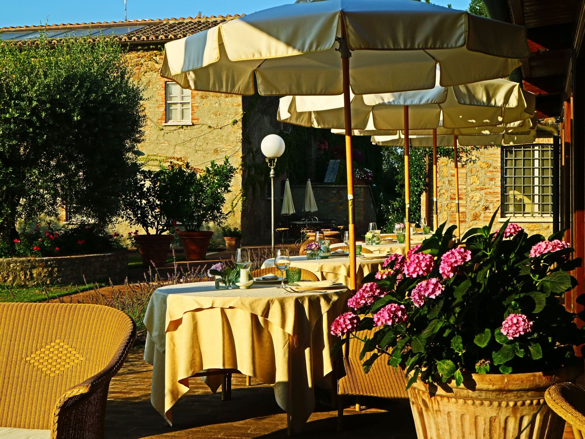Terrace