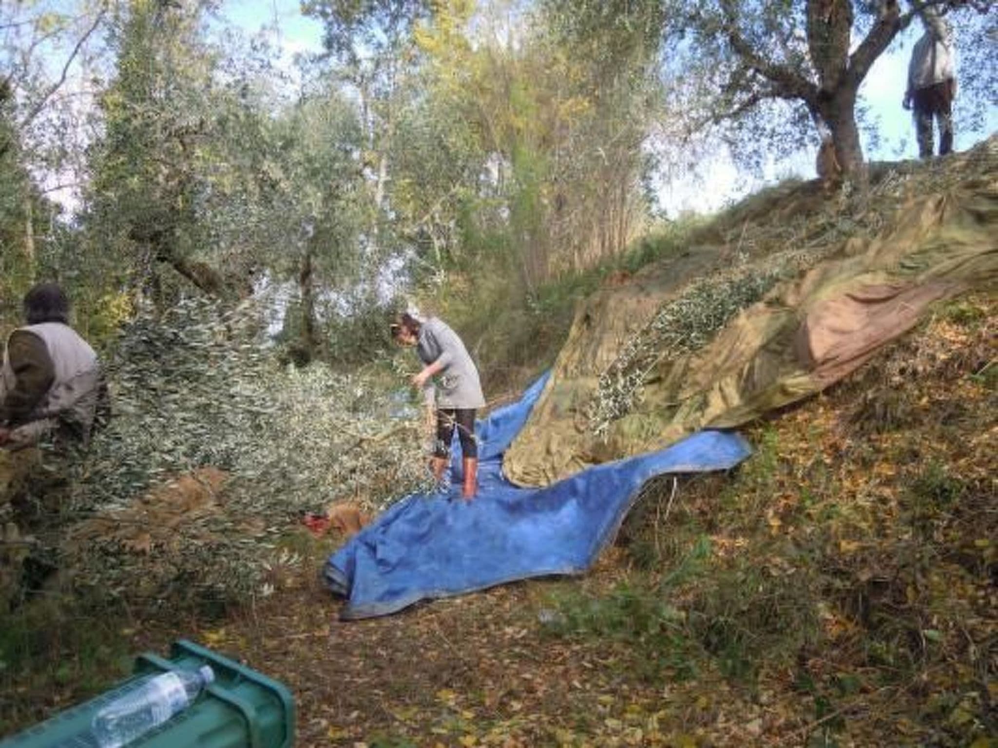 Gallery Image 19