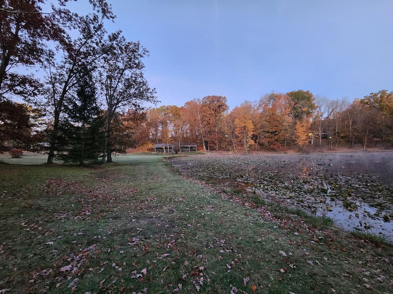 Gallery Image 42