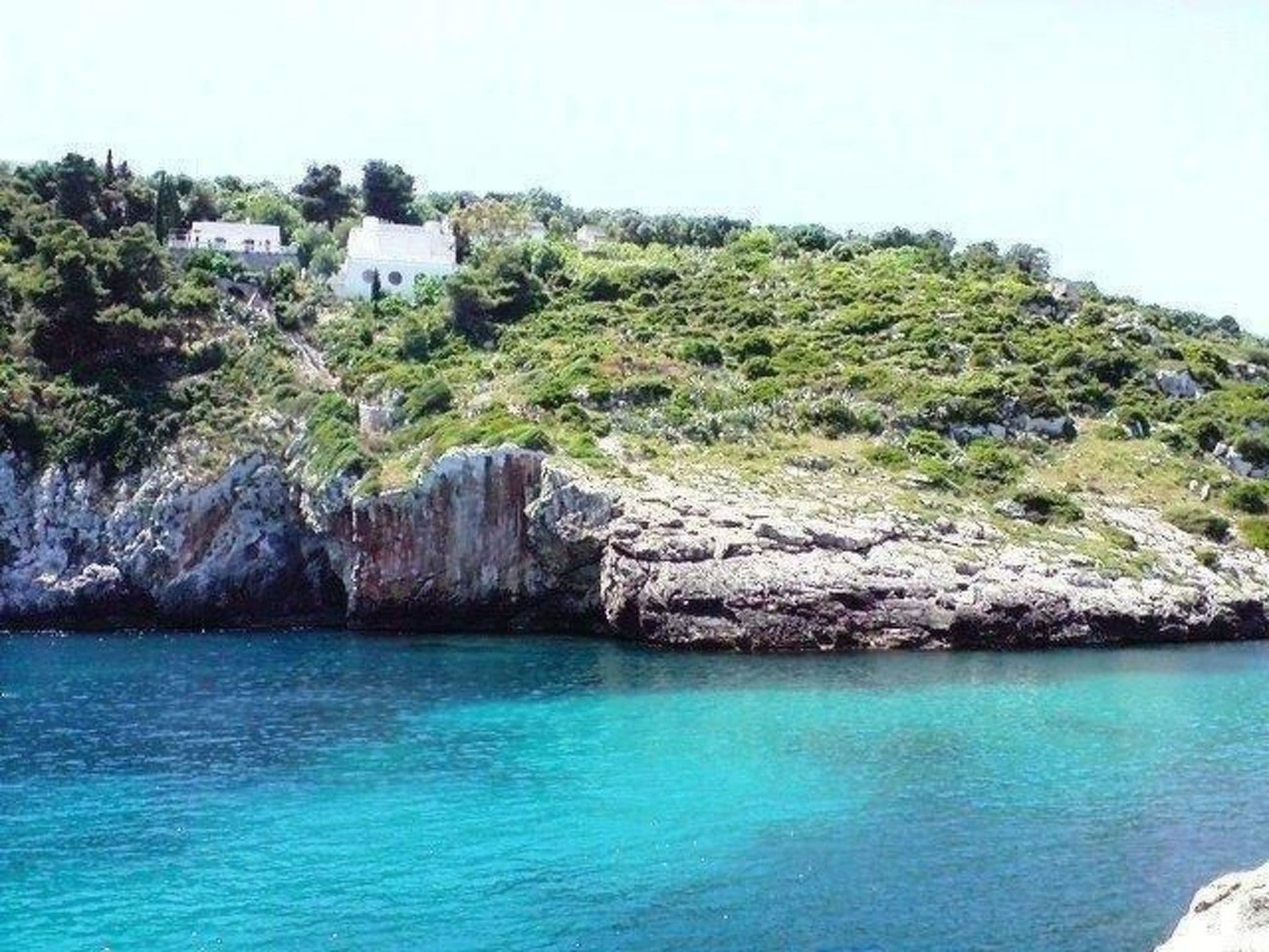 Gallery Image 38