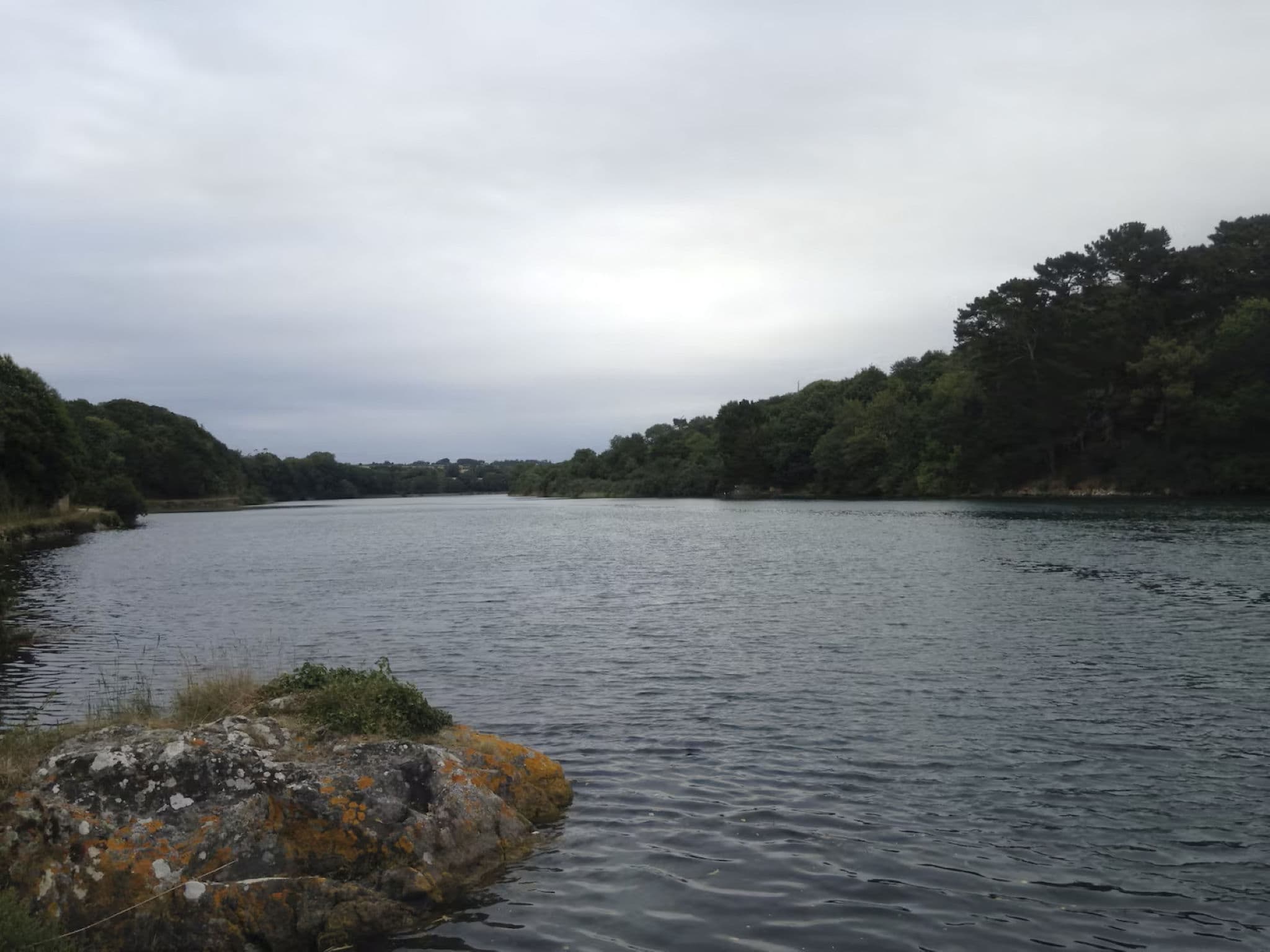 Gallery Image 14