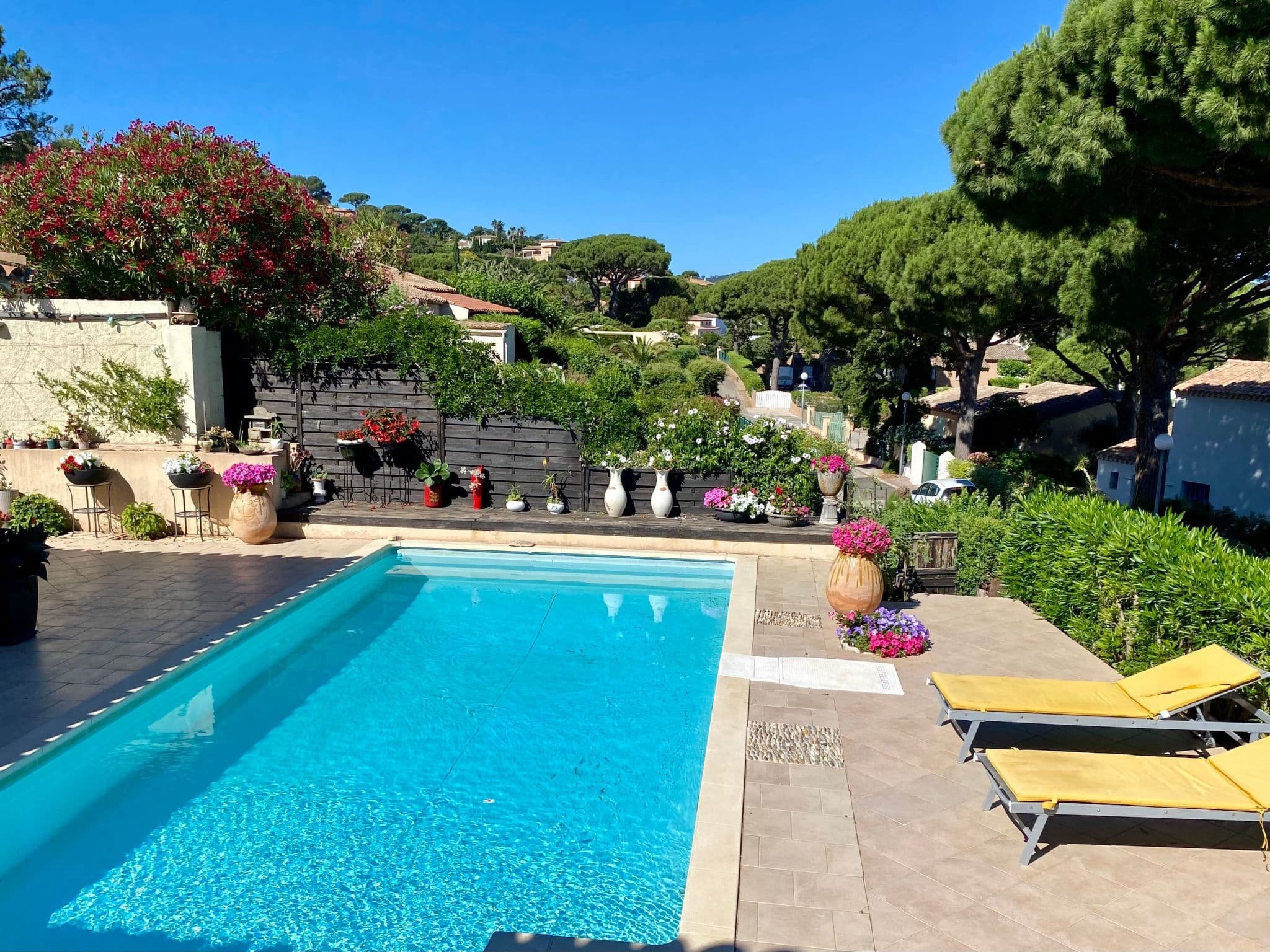 Pool Outdoor