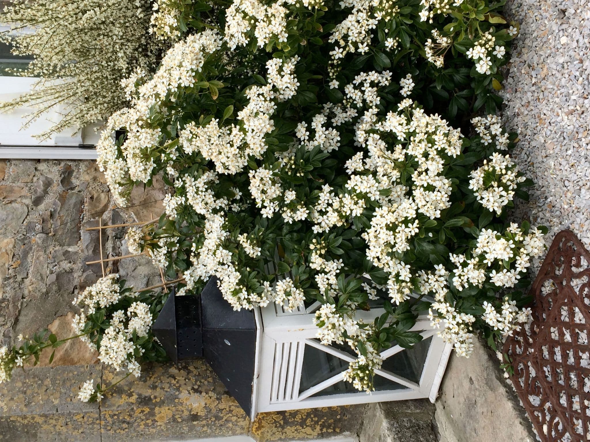 Gallery Image 27