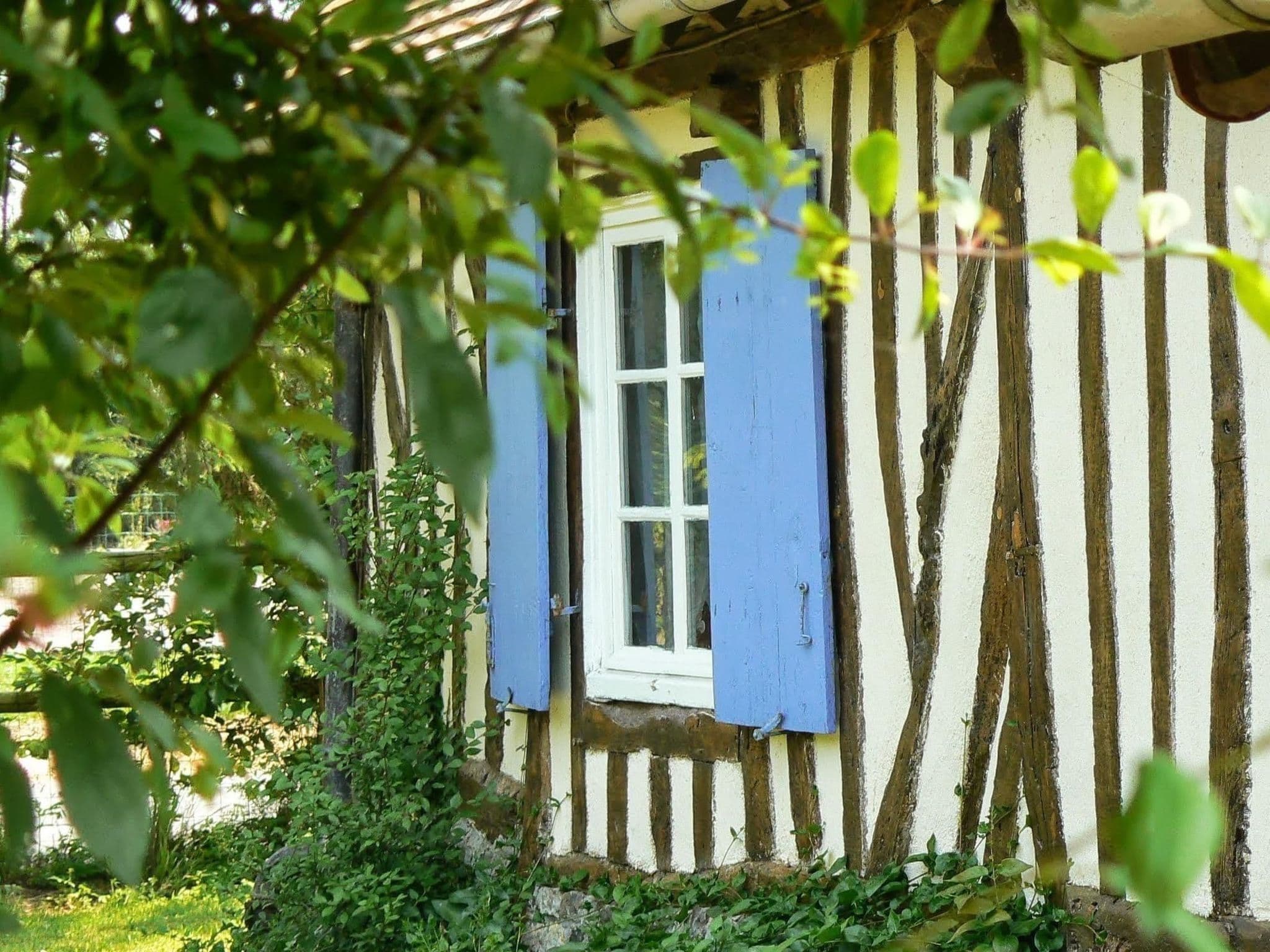 Gallery Image 8