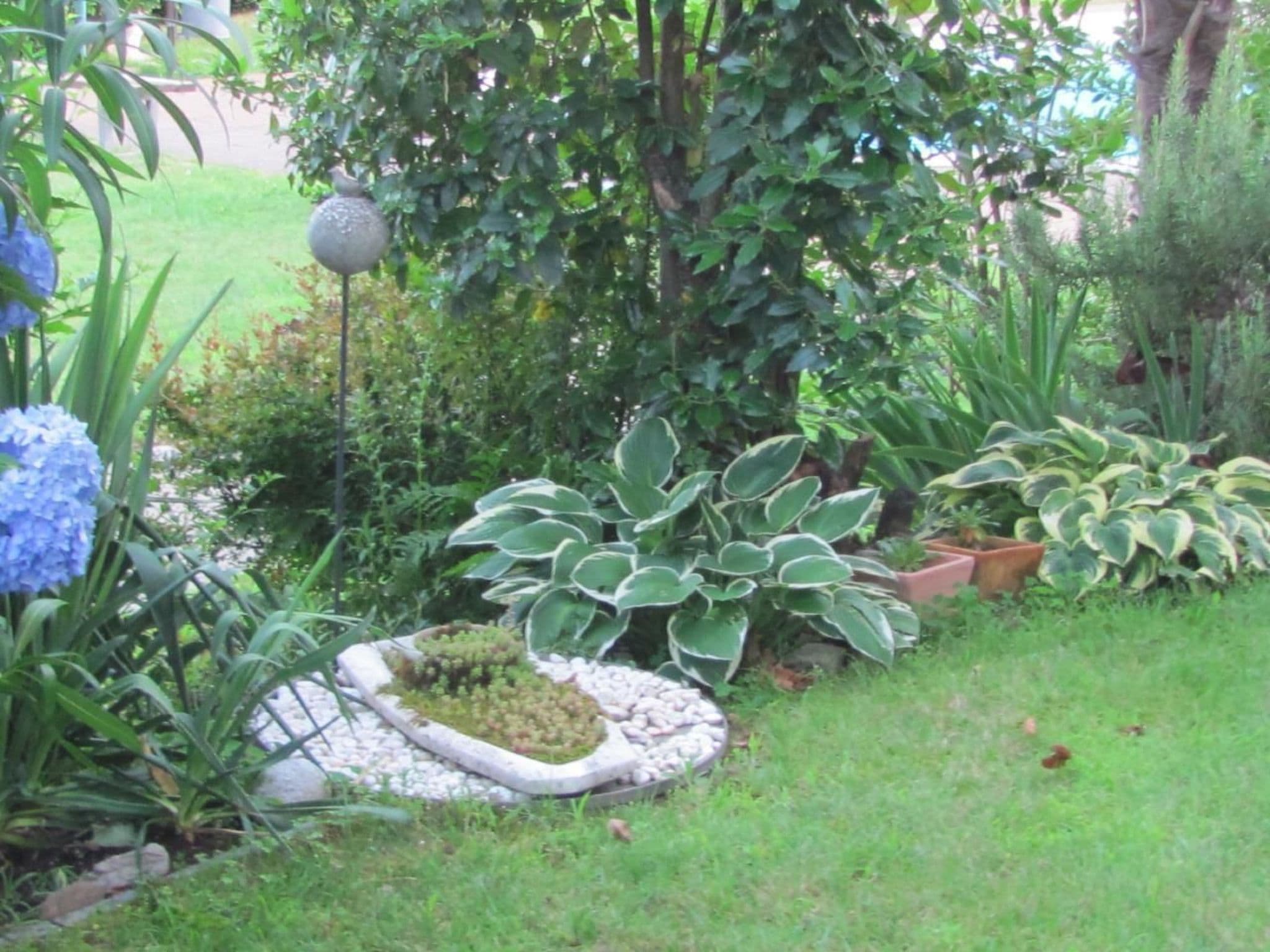 Gallery Image 13