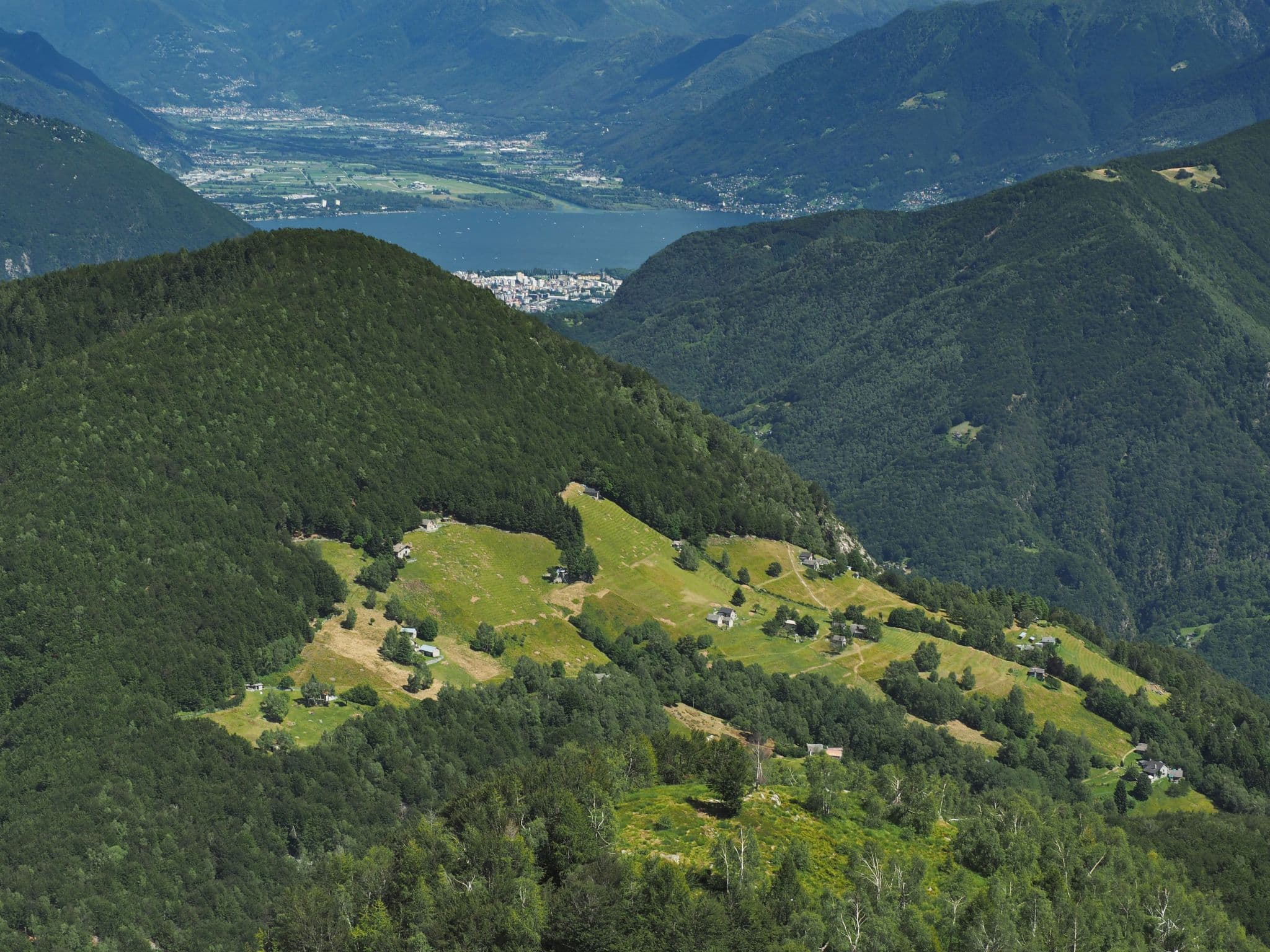 View