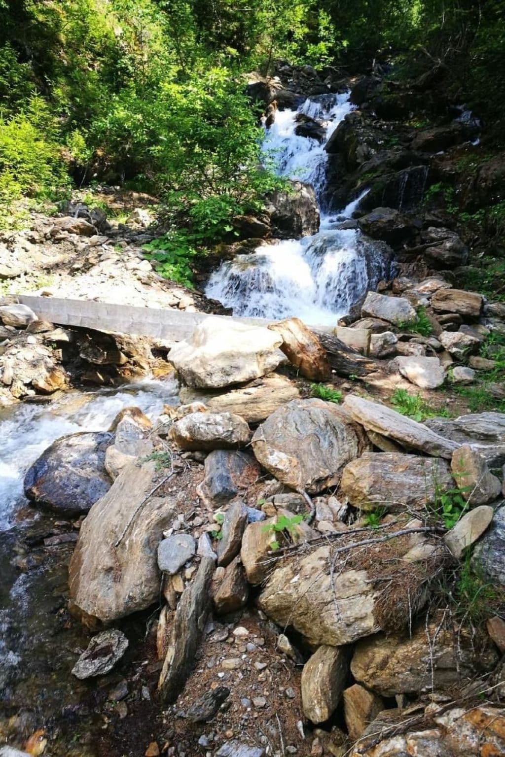 Gallery Image 17