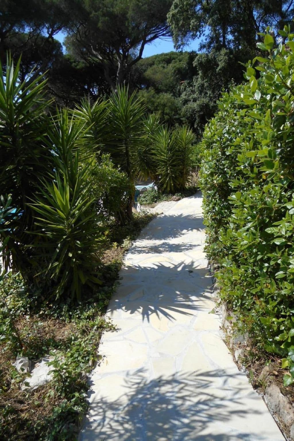Gallery Image 8
