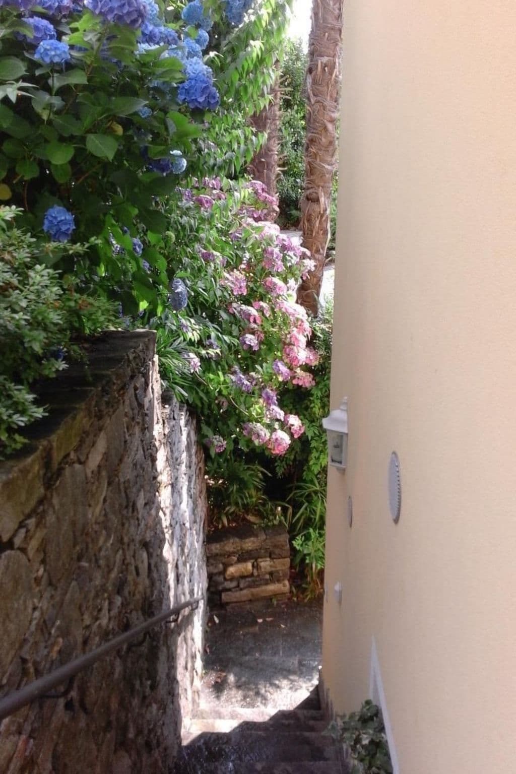 Gallery Image 13