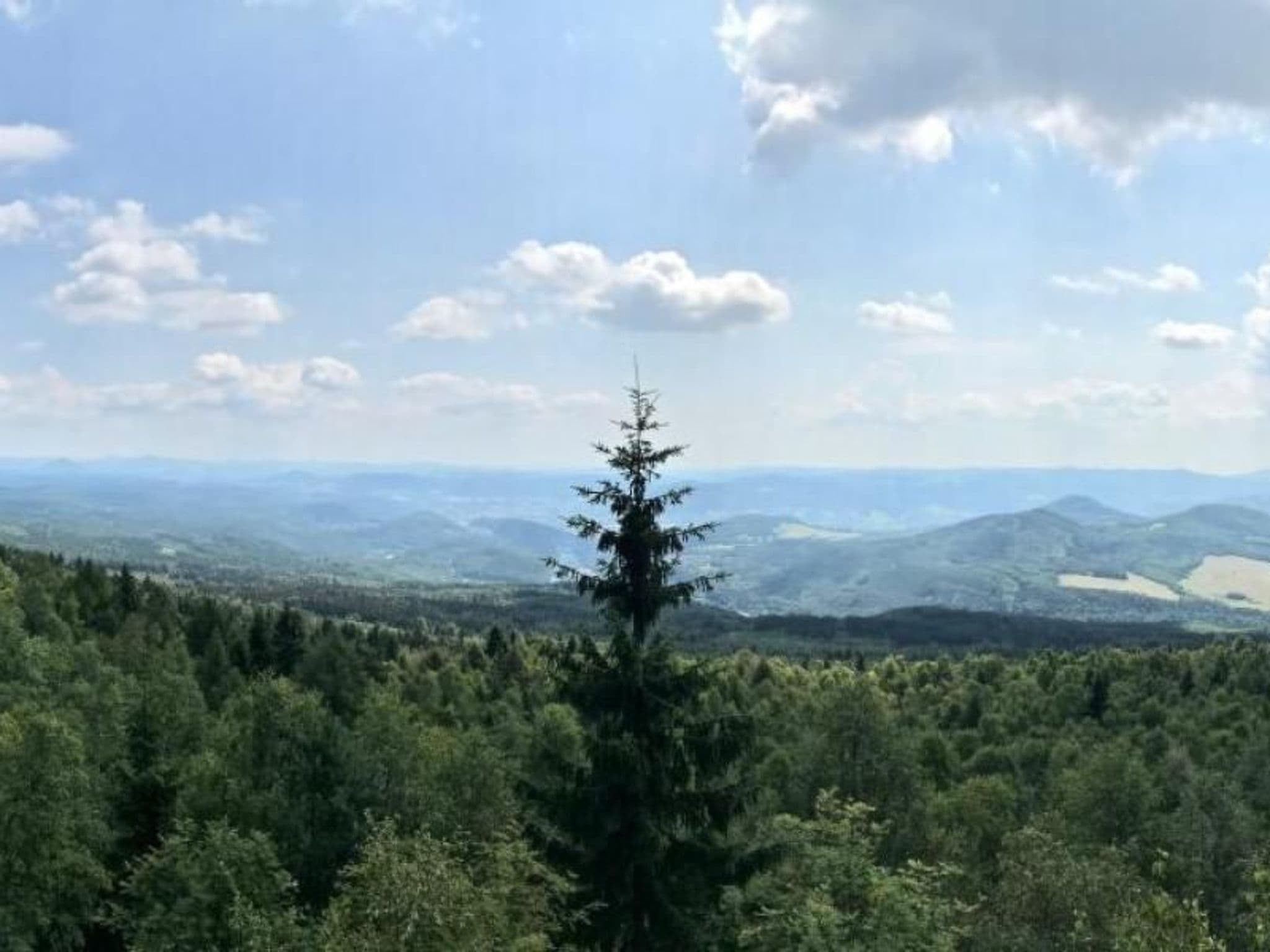 View