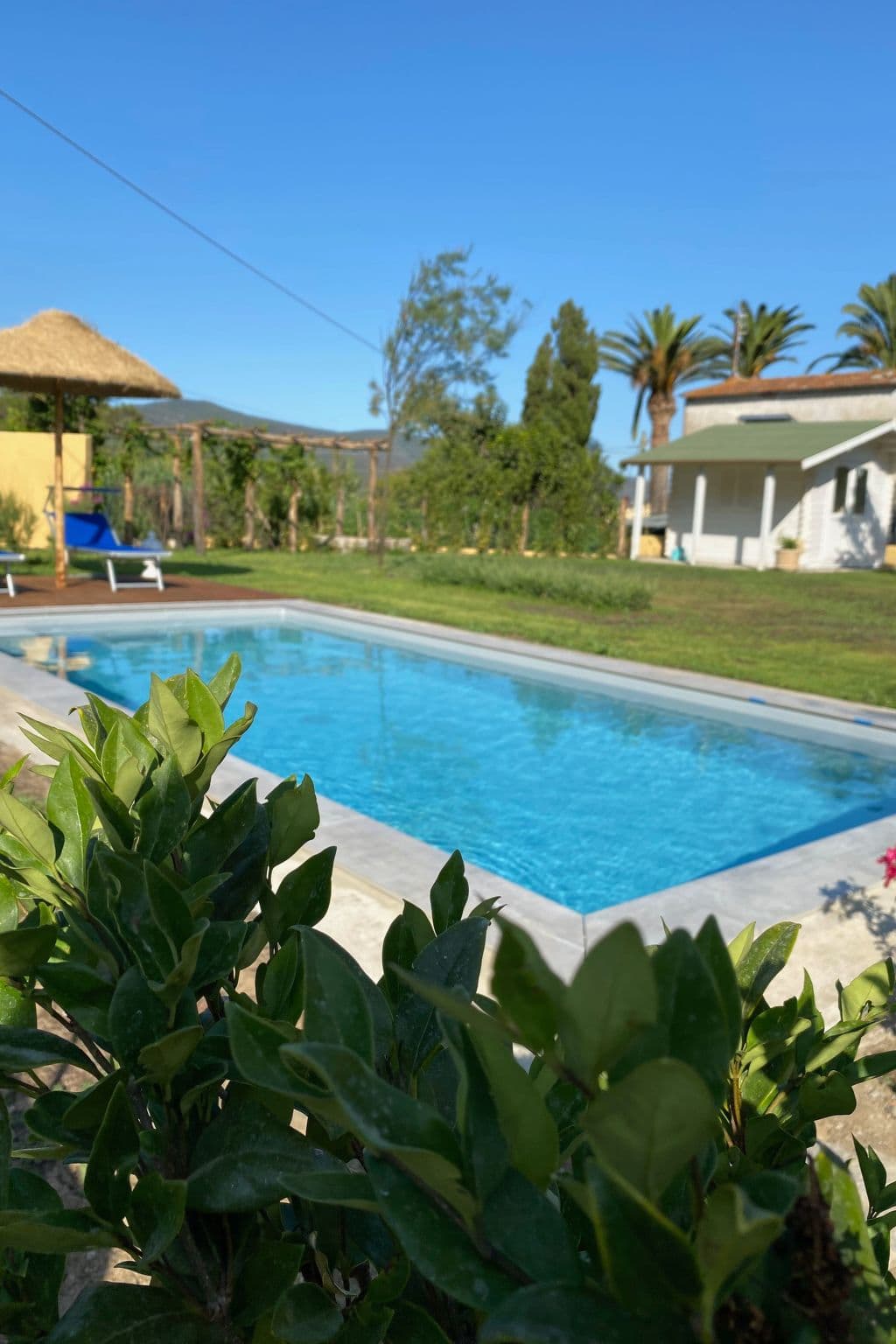 Pool Outdoor