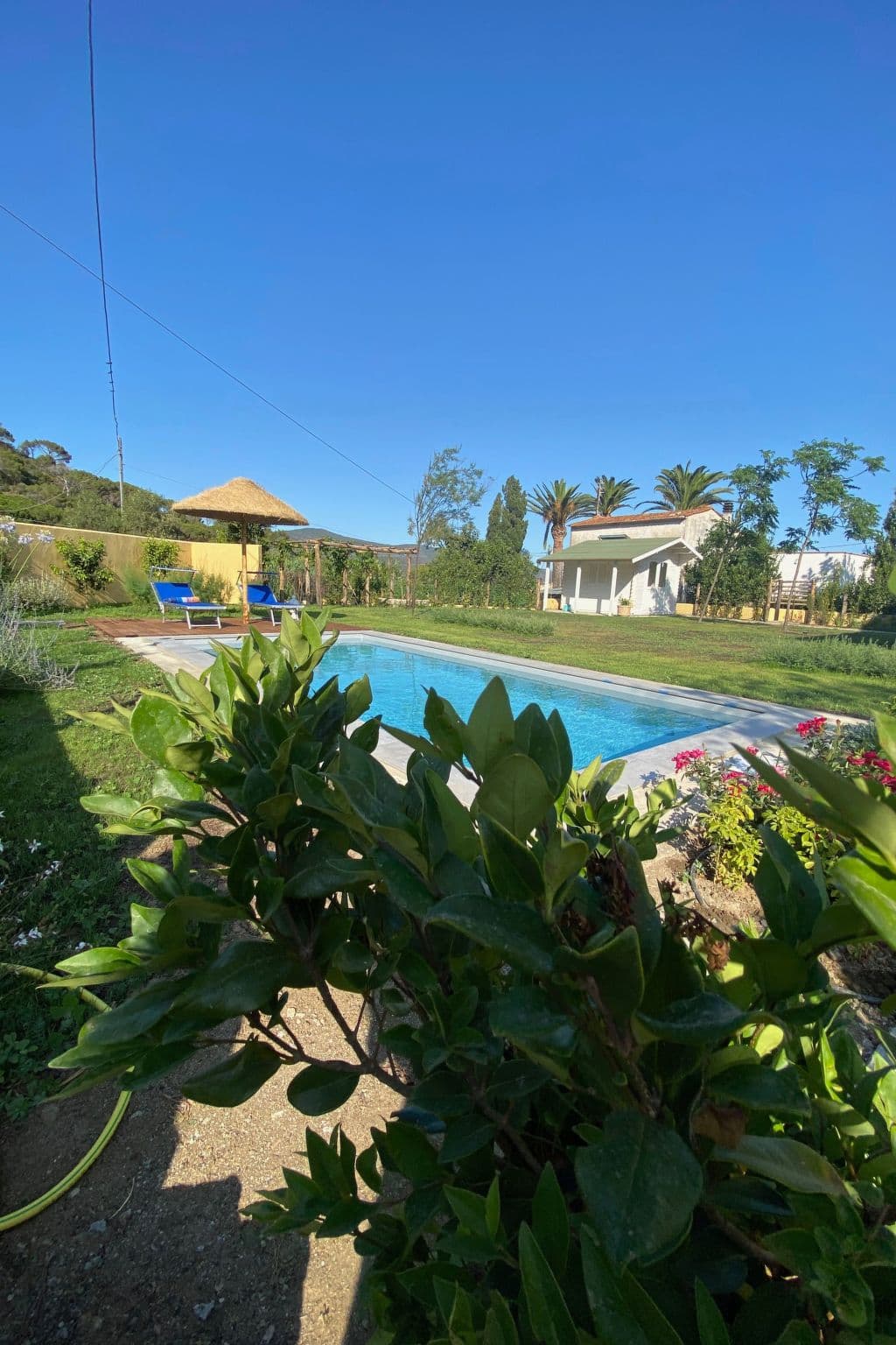 Pool Outdoor