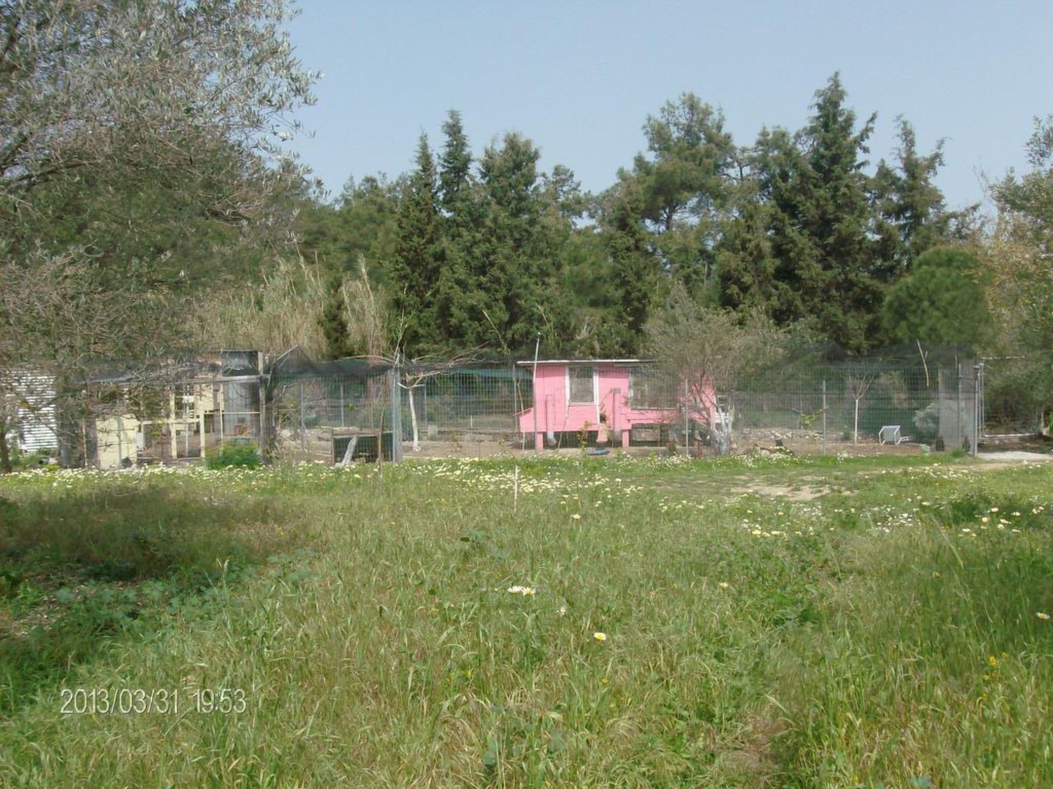 Gallery Image 11