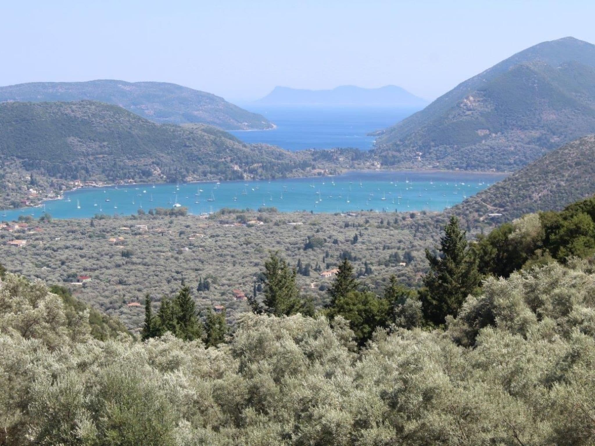 Gallery Image 38