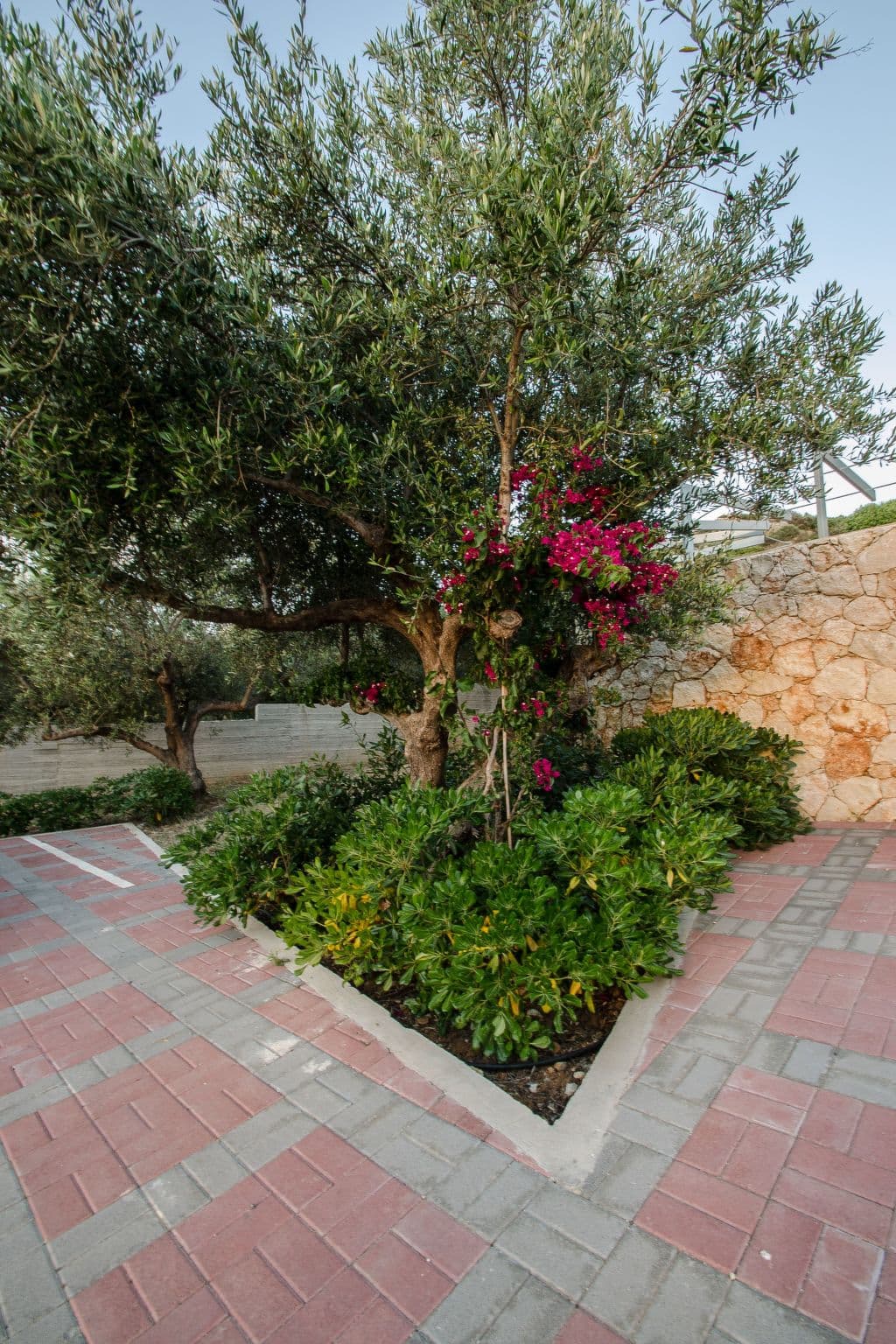 Gallery Image 28