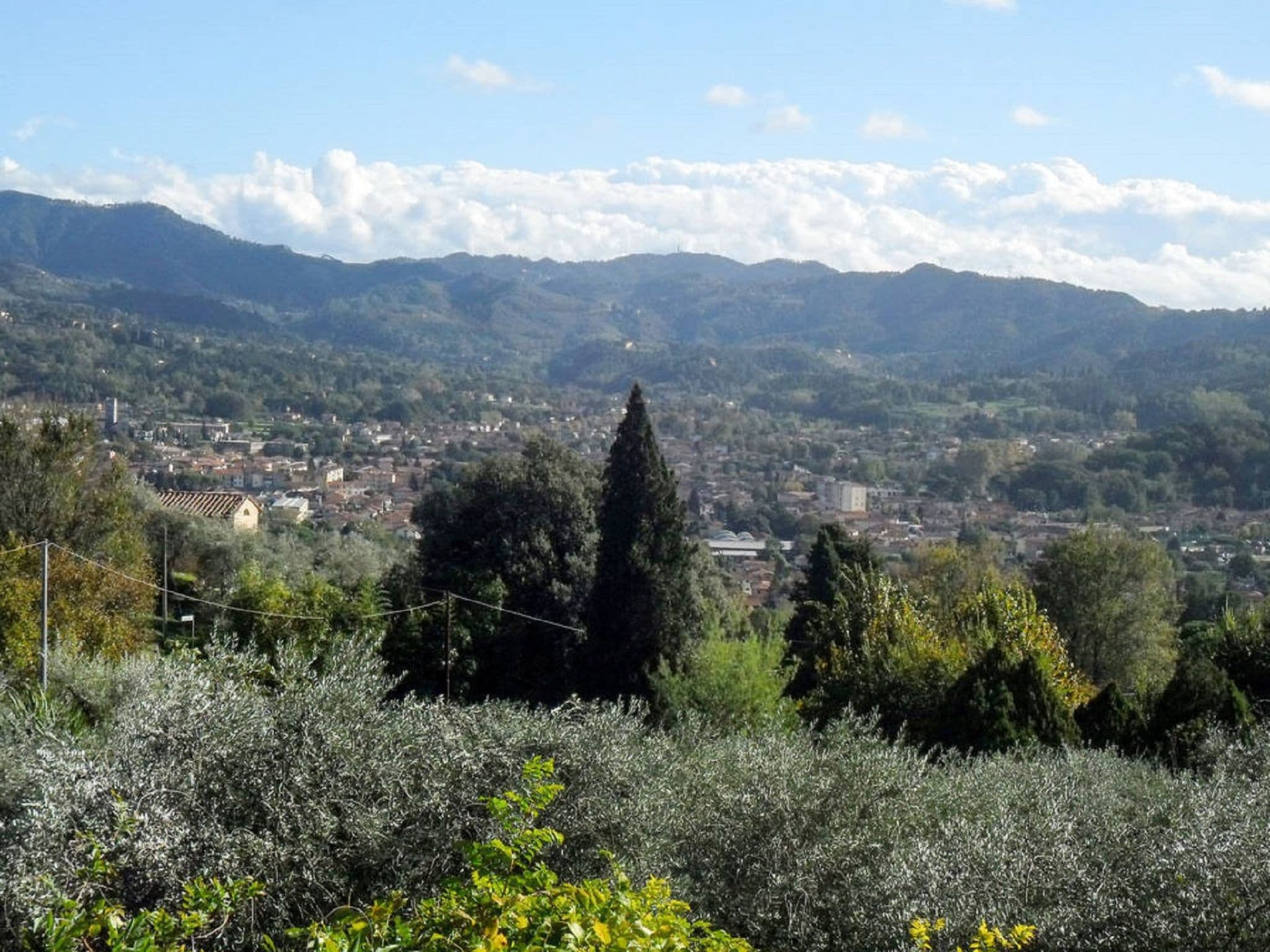 View