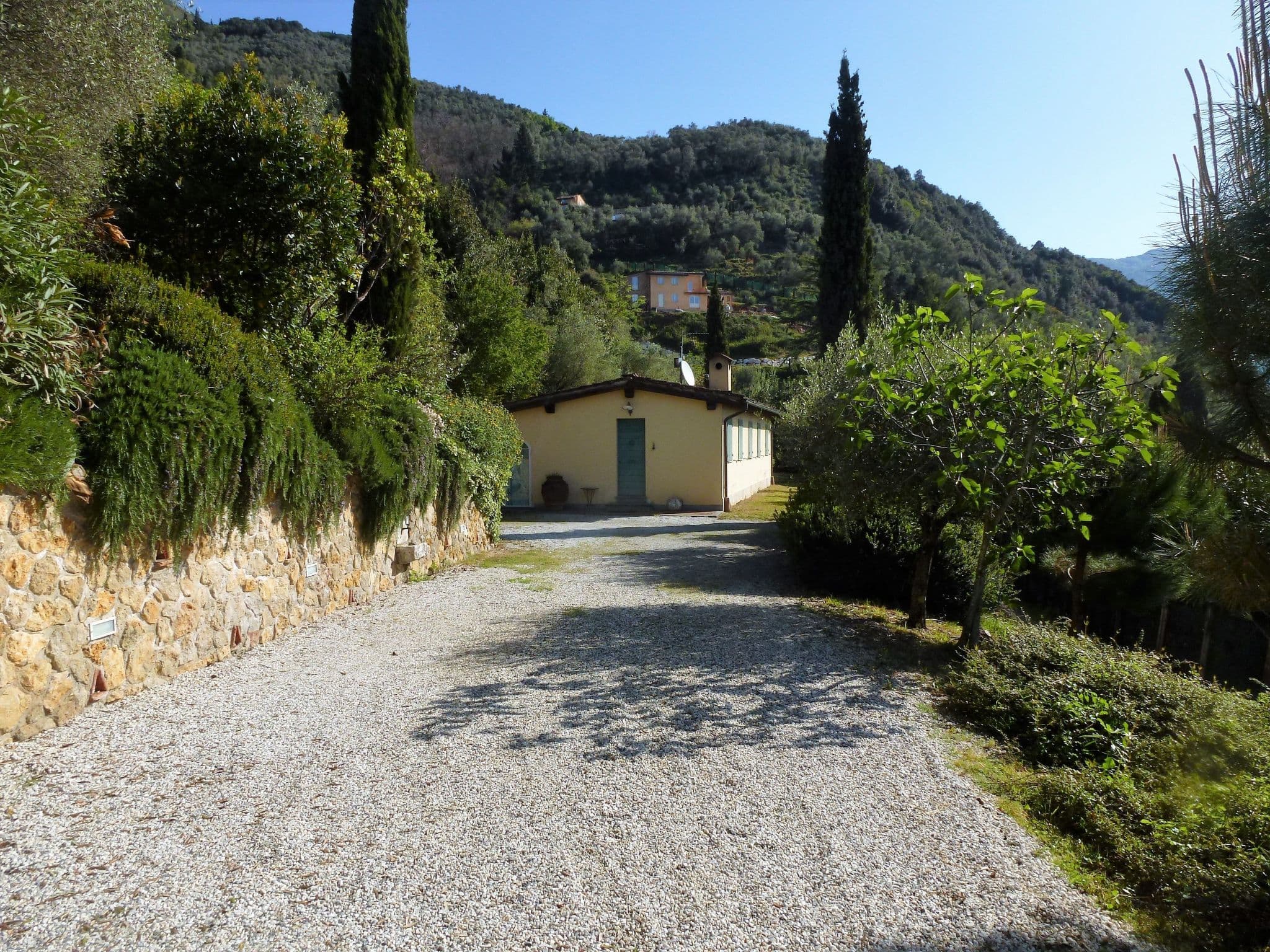 Gallery Image 17