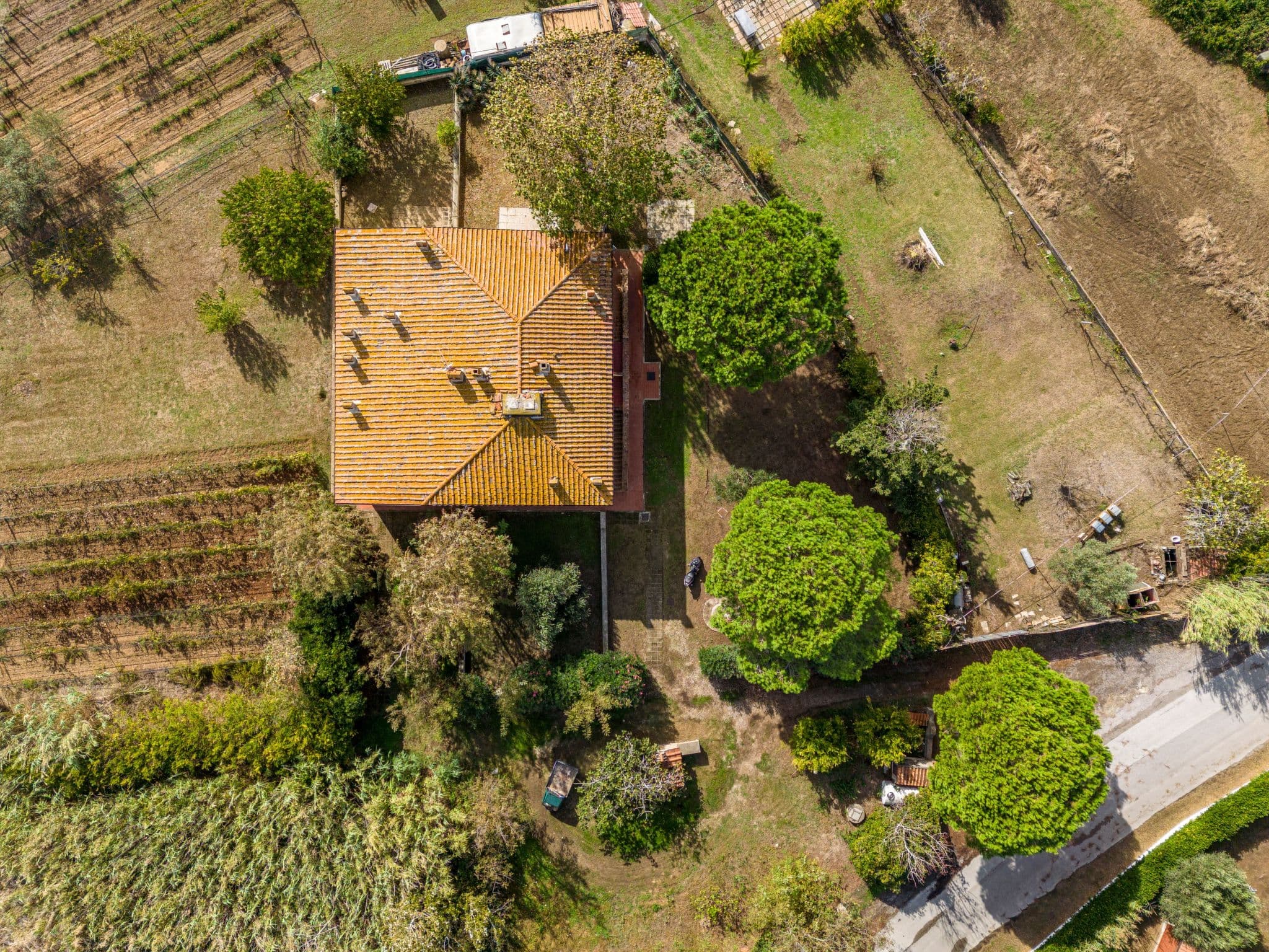 Aerial photography