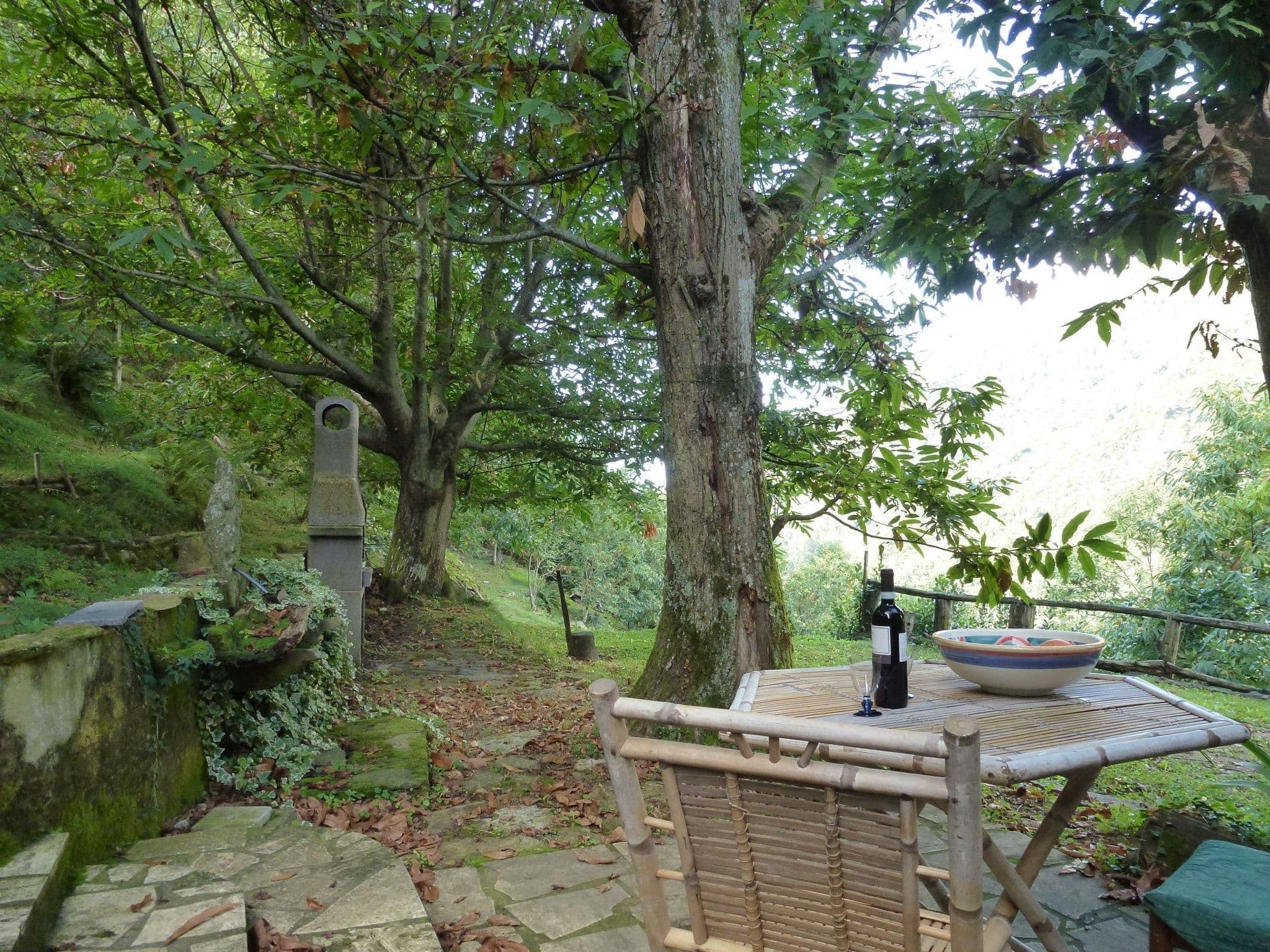Gallery Image 10