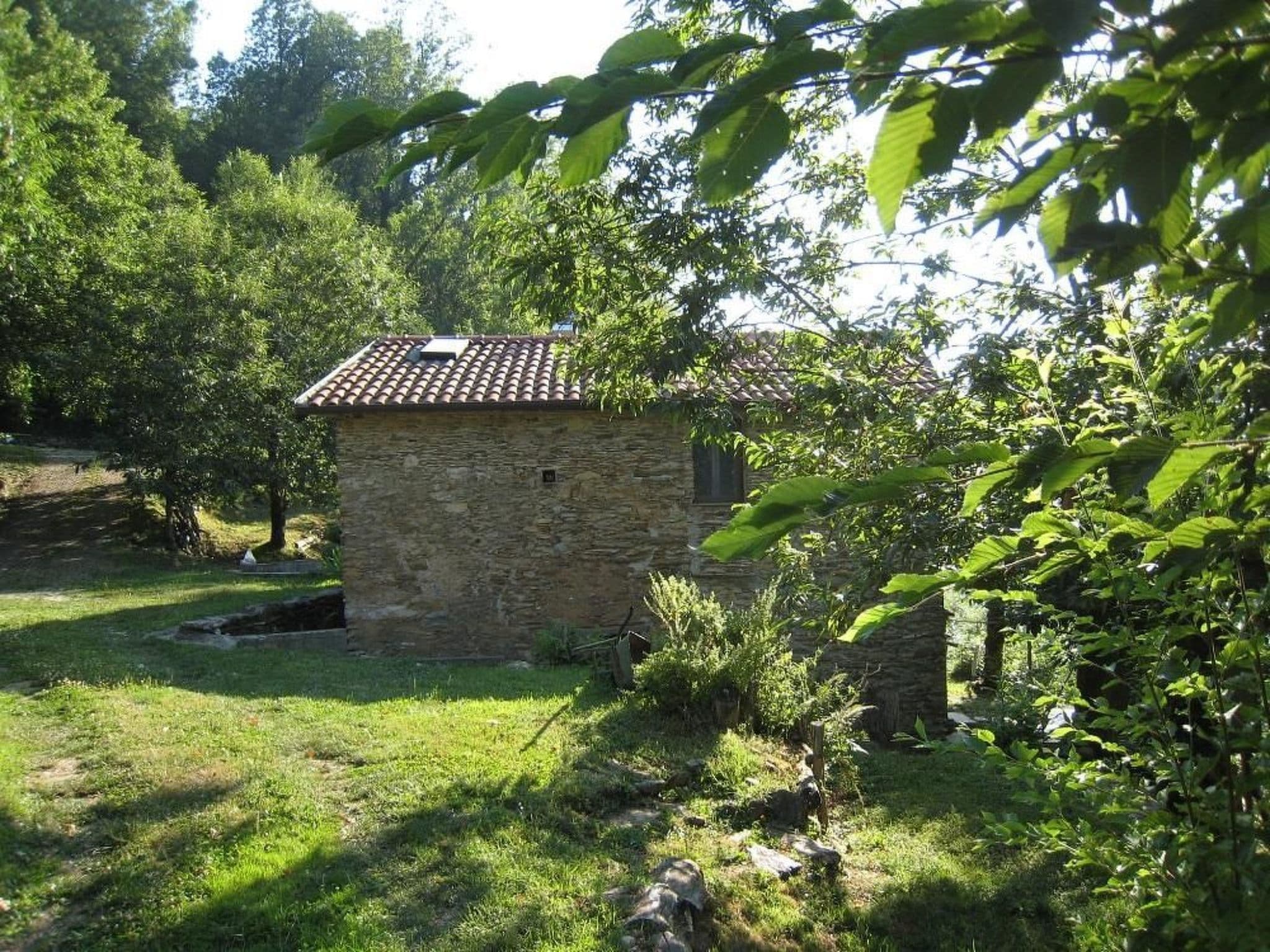 Gallery Image 7