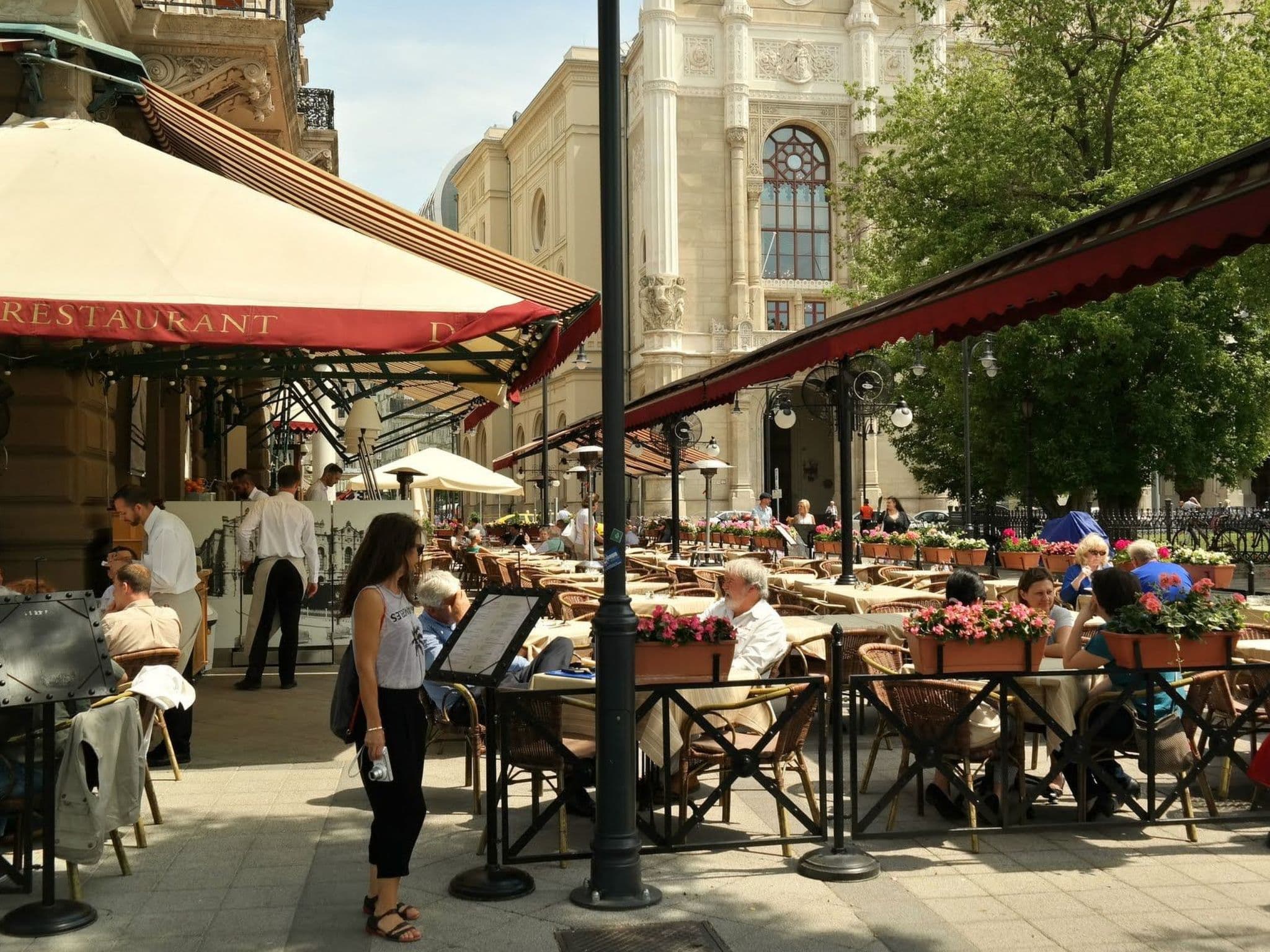 Terrace