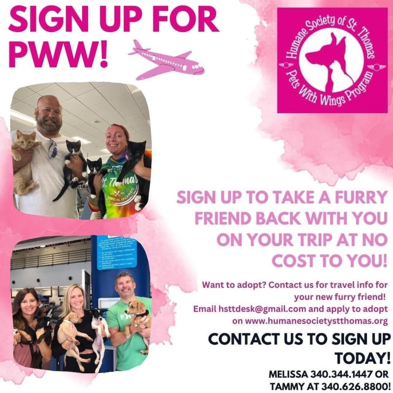 Unfortunately the island has a kill shelter due to lack of space, PLEASE consider saving a life! pets with wings will meet you at STT airport & arrange for a rescue to pickup the pet  in whatever city you land in right at baggage claim!