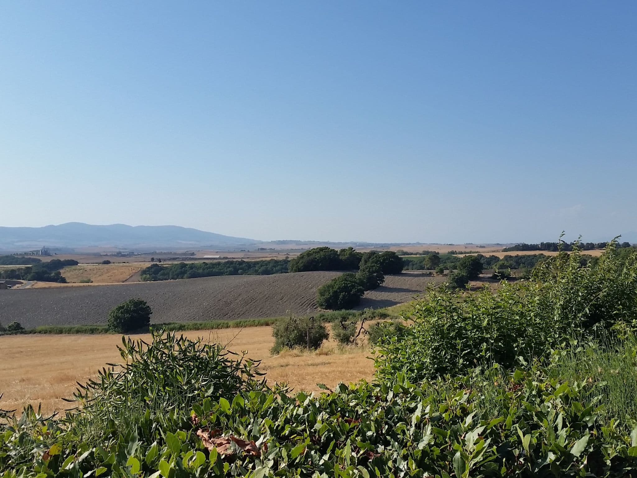 View