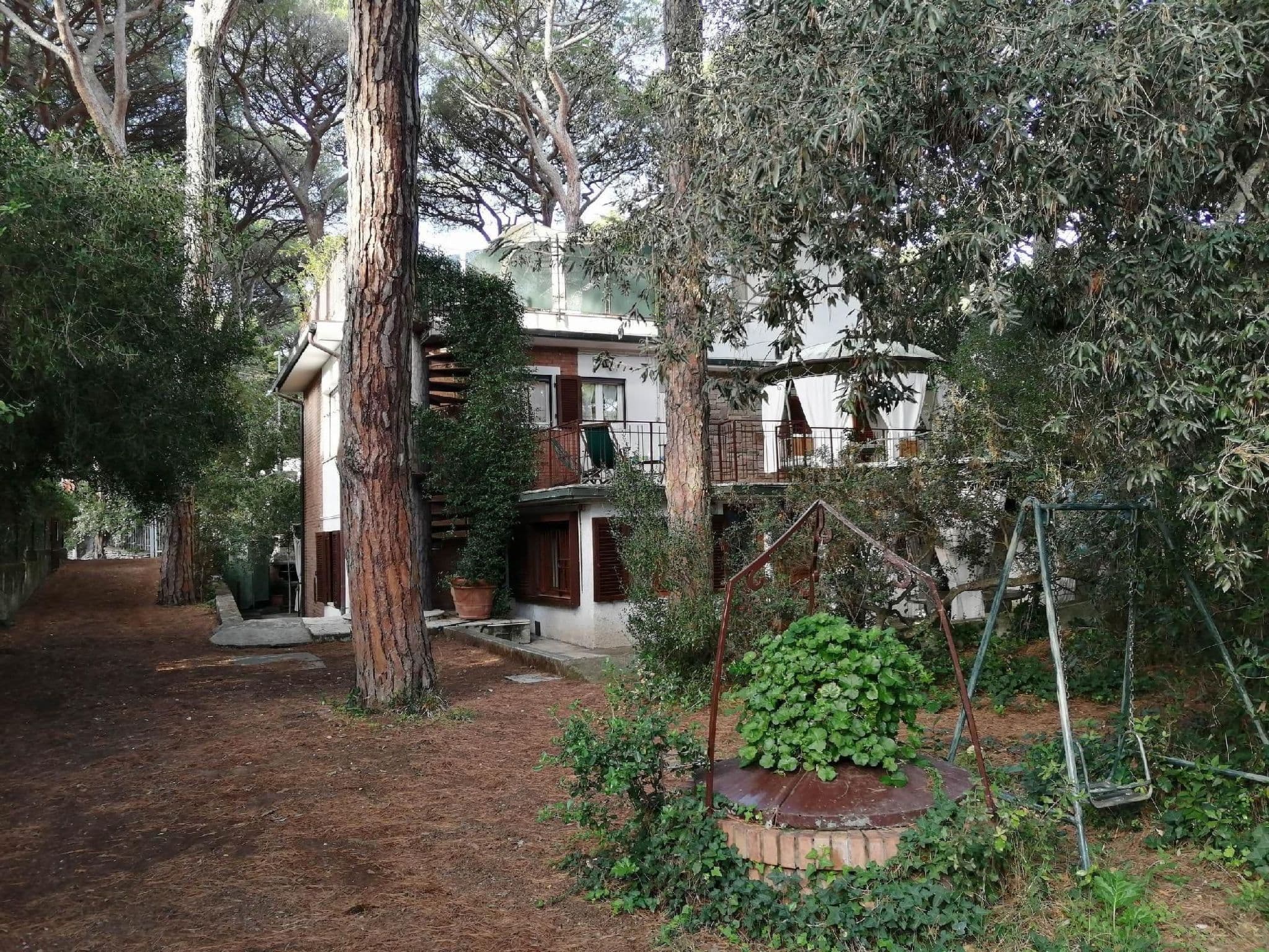 Gallery Image 19